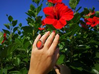 Queen of Avalon - Mood Ring - 25x18 mm - Sterling Silver 925