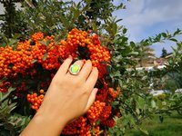 King of Gentlemen - Mood Ring - 18x13 mm - Stainless Steel