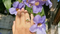 Light of Mystery - Mood Ring - 8 mm - Gold Plated Sterling Silver 925 - AAA Crystal Quartz