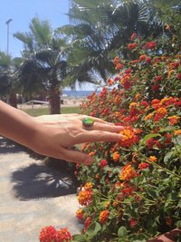 Ocean of Energy - Mood Ring - Adjustable - 18x13 mm - Brass