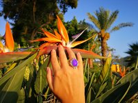 Secret Crown Princess to the Throne - Mood Ring - Adjustable - 18x13 mm - Brass