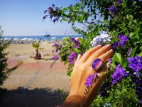 Queen of Avalon - Mood Ring - 25x18 mm - Sterling Silver 925