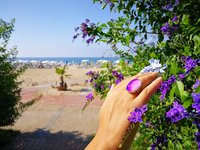 Queen of Grace - Mood Ring - 25x18 mm - Sterling Silver 925