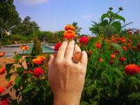 Queen of Grace - Mood Ring - 25x18 mm - Sterling Silver 925