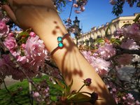 Twin Stars of the Garden of Seramis - Adjustable Mood Bangle - 8 mm - Stainless Steel - AAA Crystal Quartz - world premiere