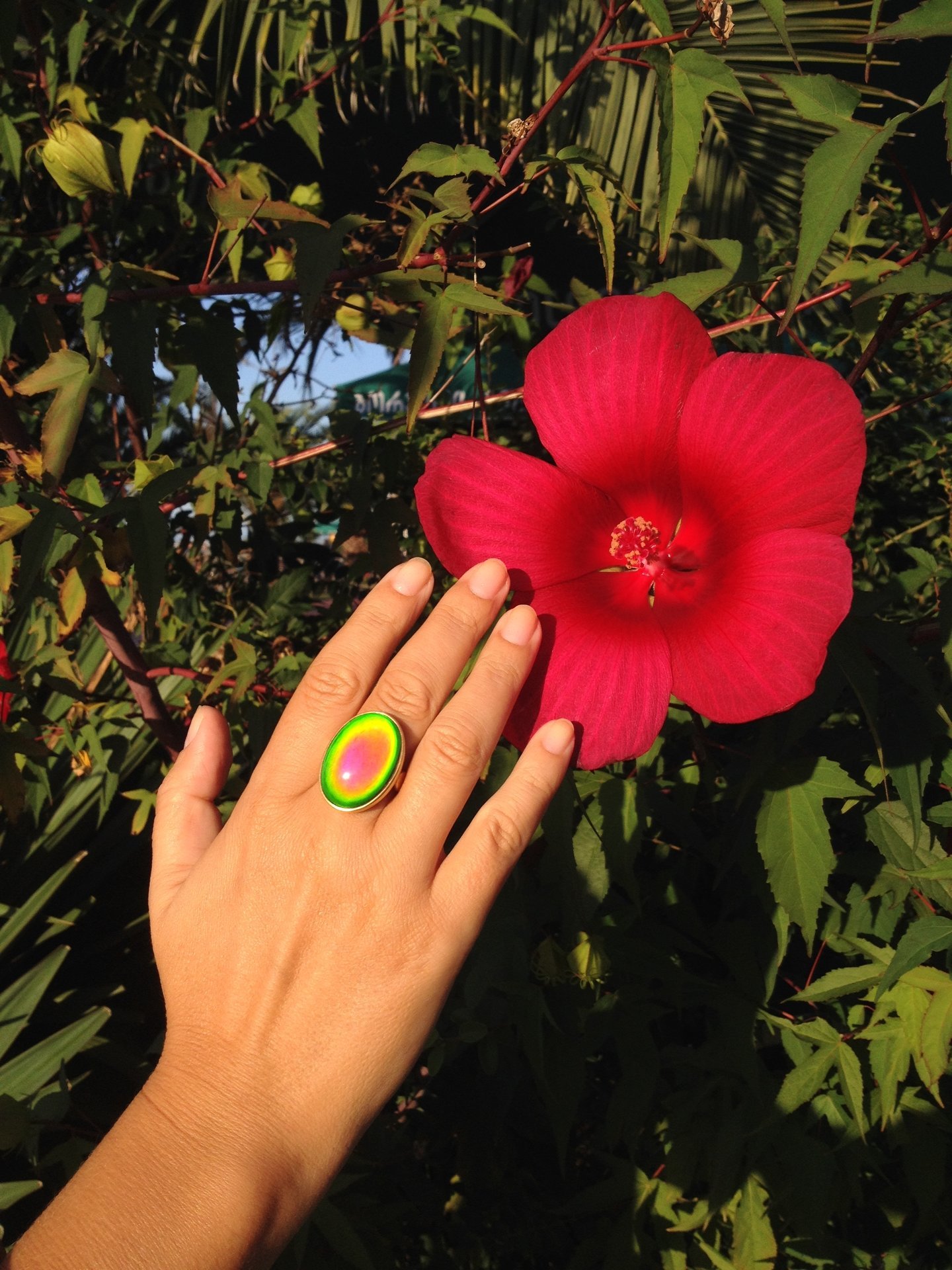Golden Ring of Wishes - Mood Ring - 25x18 mm - 24k Gold Plated Sterling Silver 925