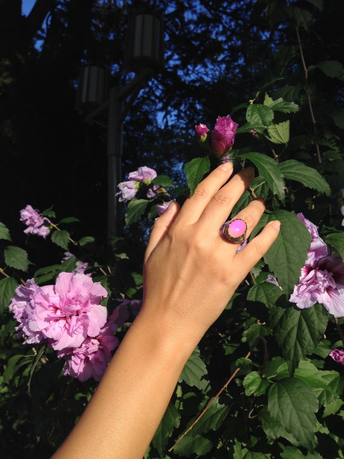 Silver Dream of Night Flowers - Mood Ring - Adjustable - 18x13 mm - Sterling Silver 925 Oxidized