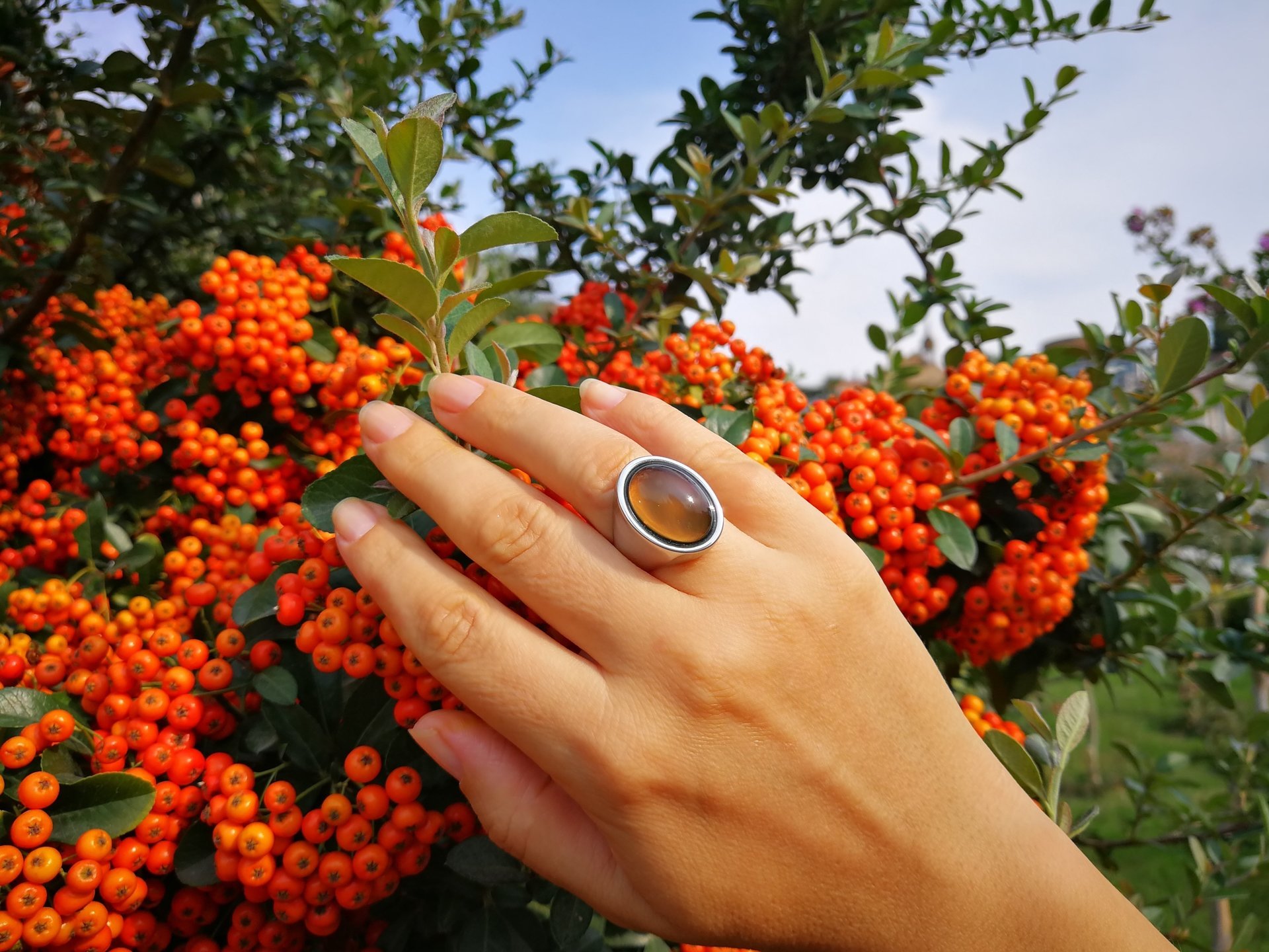 King of Gentlemen - Mood Ring - 18x13 mm - Stainless Steel