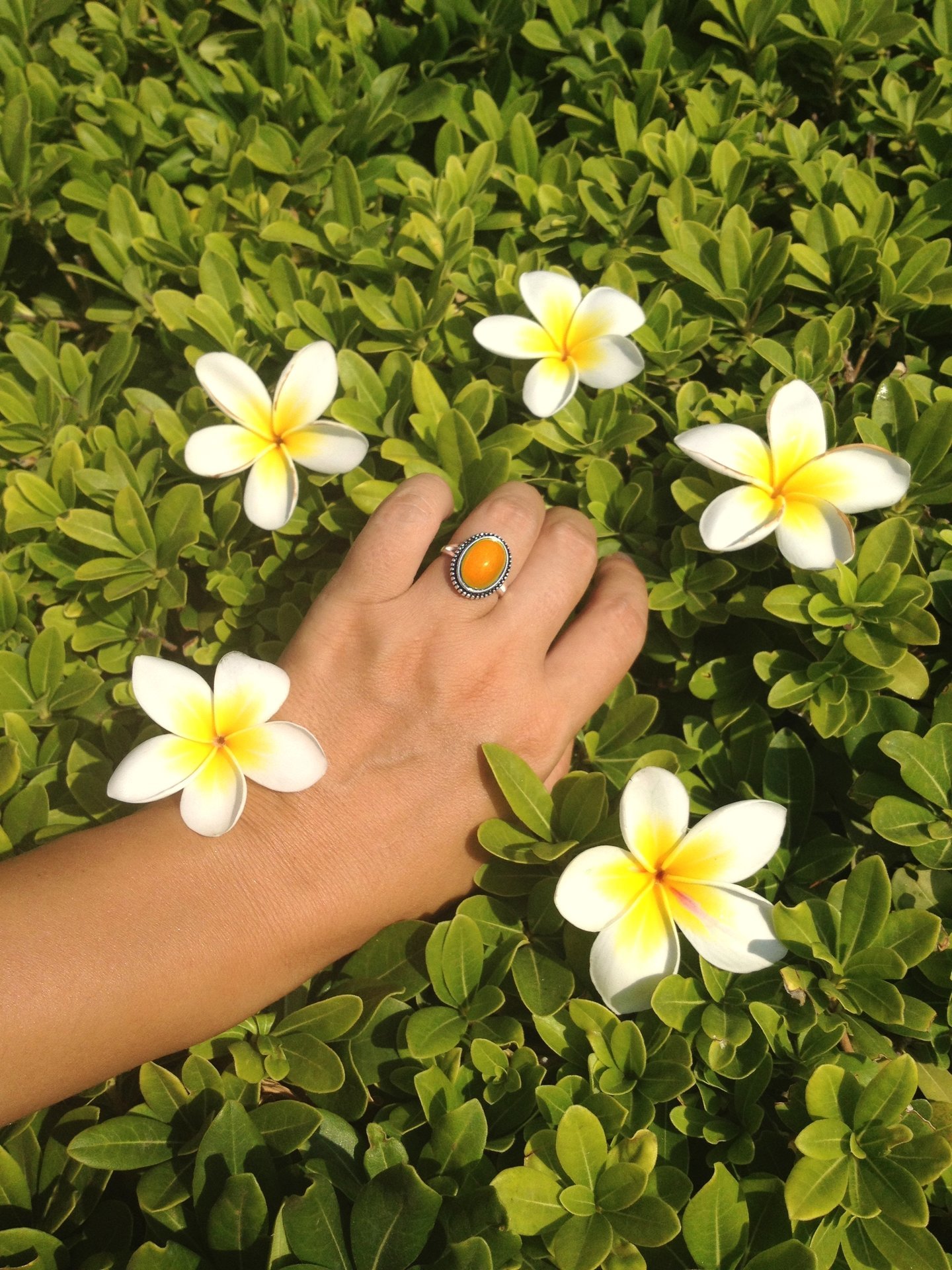 Secret Princess of the Empire - Mood Ring - 14x10 mm - Sterling Silver 925