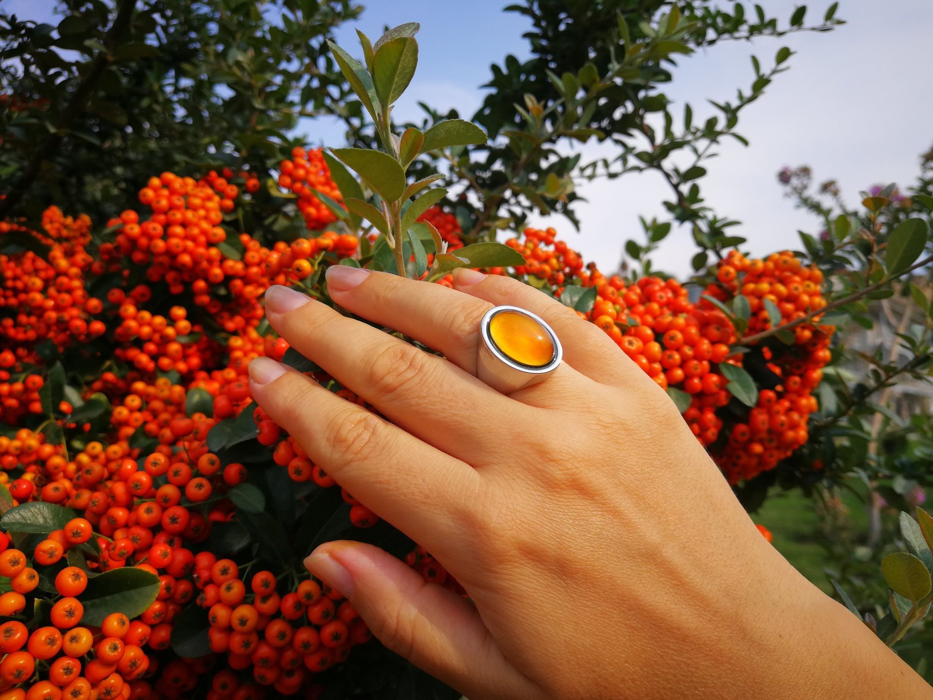 King of Gentlemen - Mood Ring - 18x13 mm - Stainless Steel