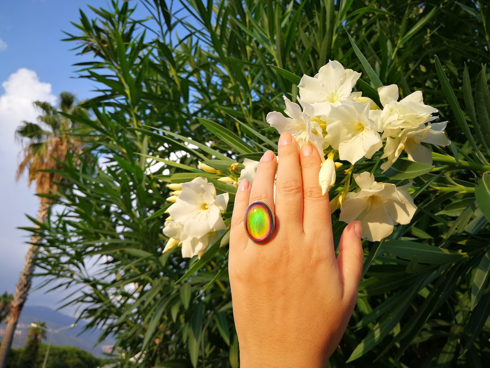 Queen of Destiny - Mood Ring - Adjustable - 25x18 mm - Stainless Steel