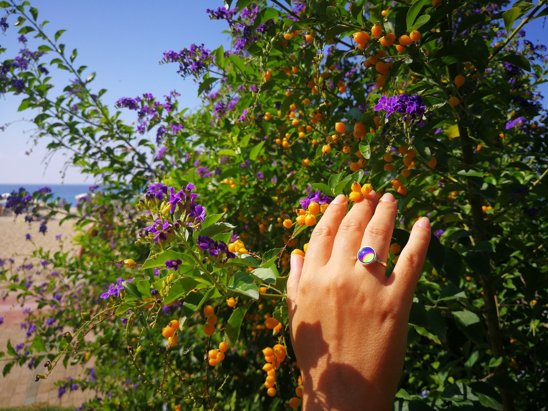 Star of Success - Mood Ring - 10 mm - Sterling Silver 925