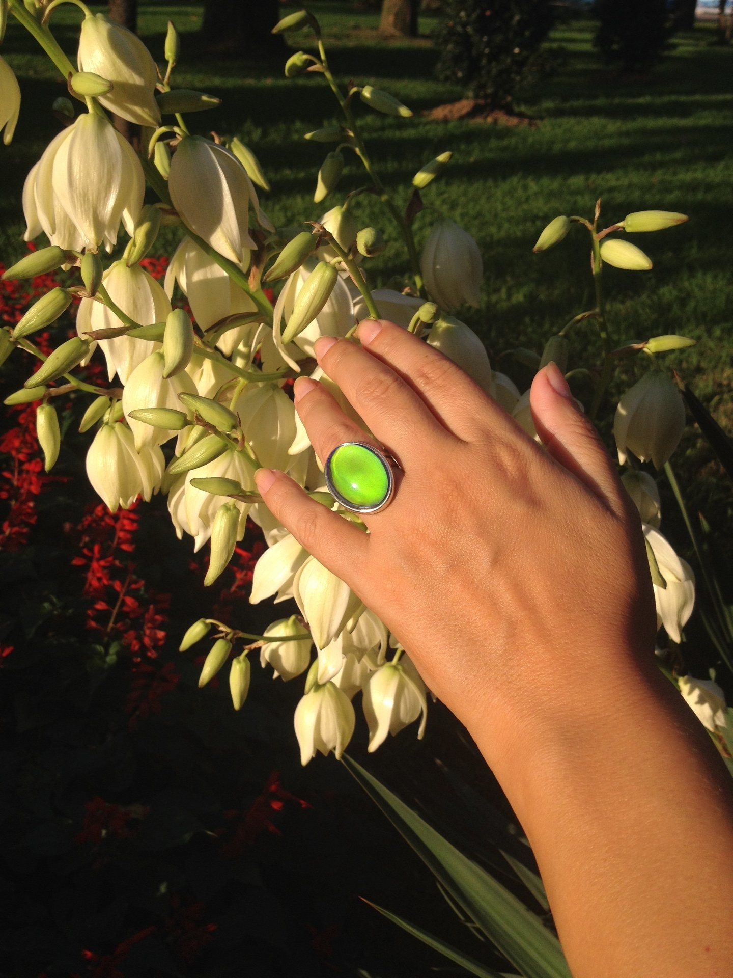 Silver Fountain of Youth - Mood Ring - 25x18 mm - Sterling Silver 925