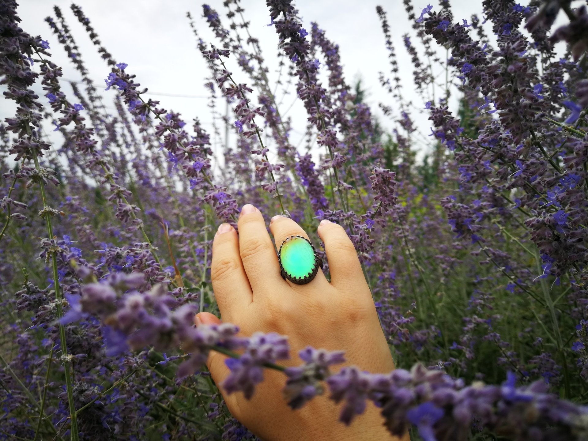 All for Love - Mood Ring - 25x18 mm - Sterling Silver 925