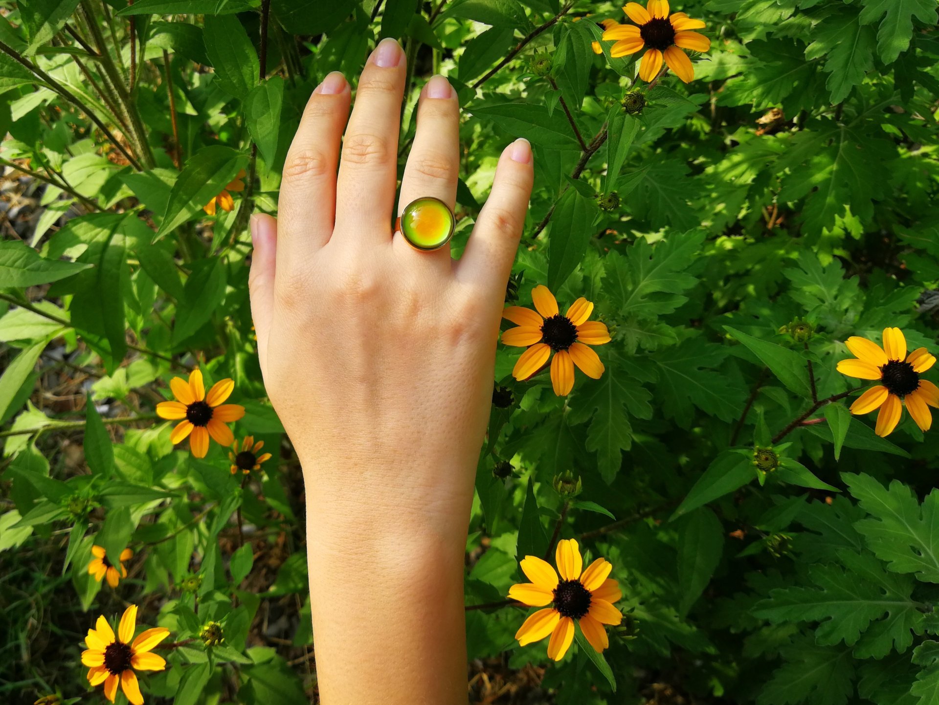 Golden Dream - Mood Ring - 16 mm - 24K Gold Plated Sterling Silver 925