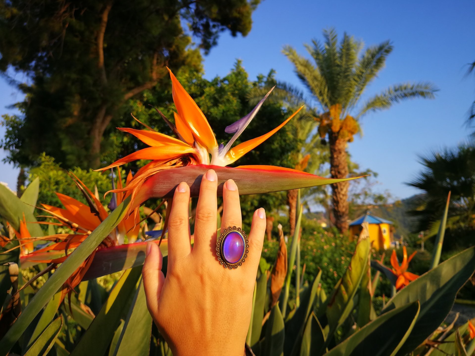 Queen of Zanzibar - Mood Ring - Adjustable - 25x18 mm - Brass