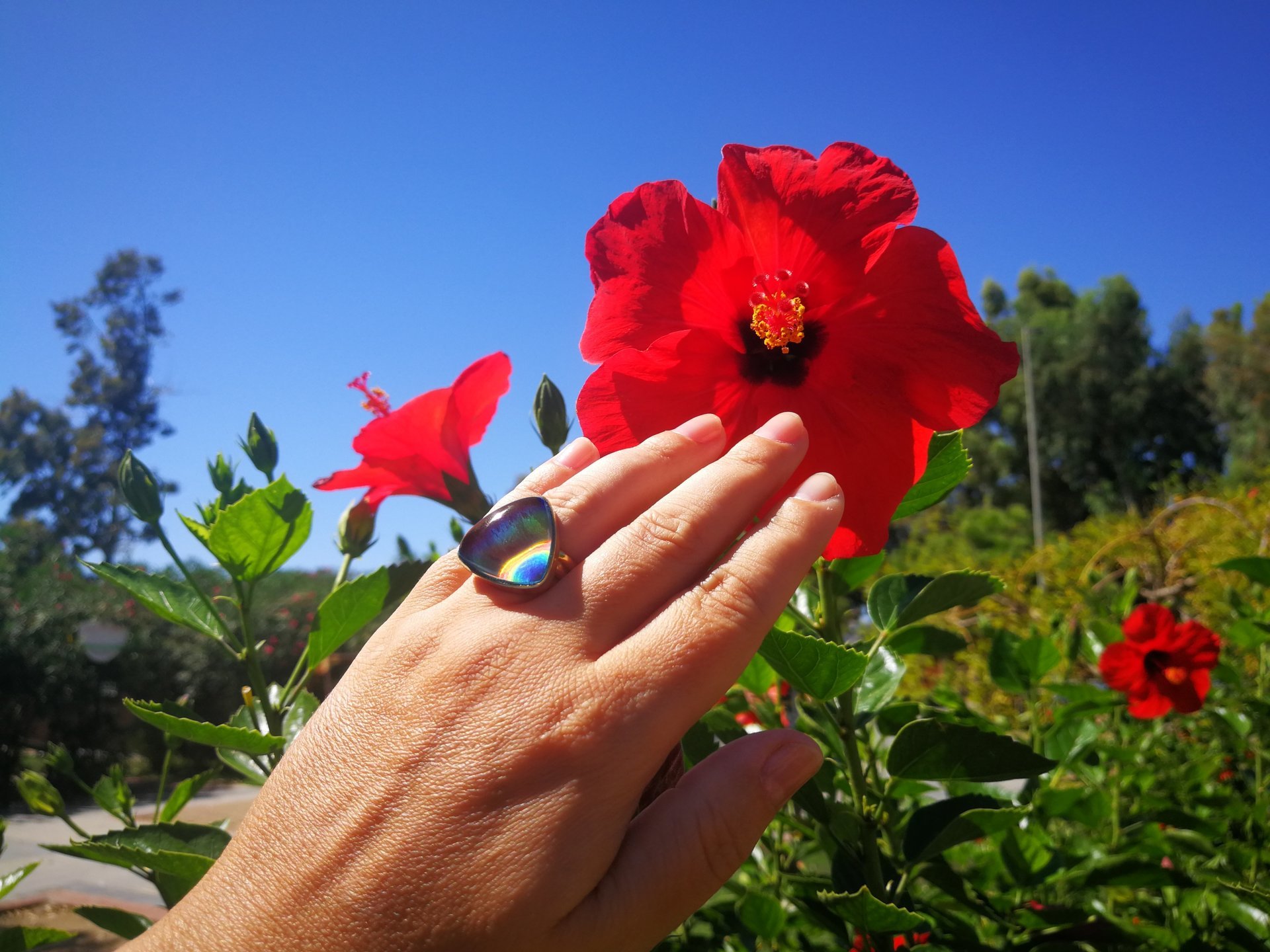 Sovereign of Lightning - Mood Ring - 20 mm - Gold Plated Sterling Silver 925 - AAA Crystal Quartz