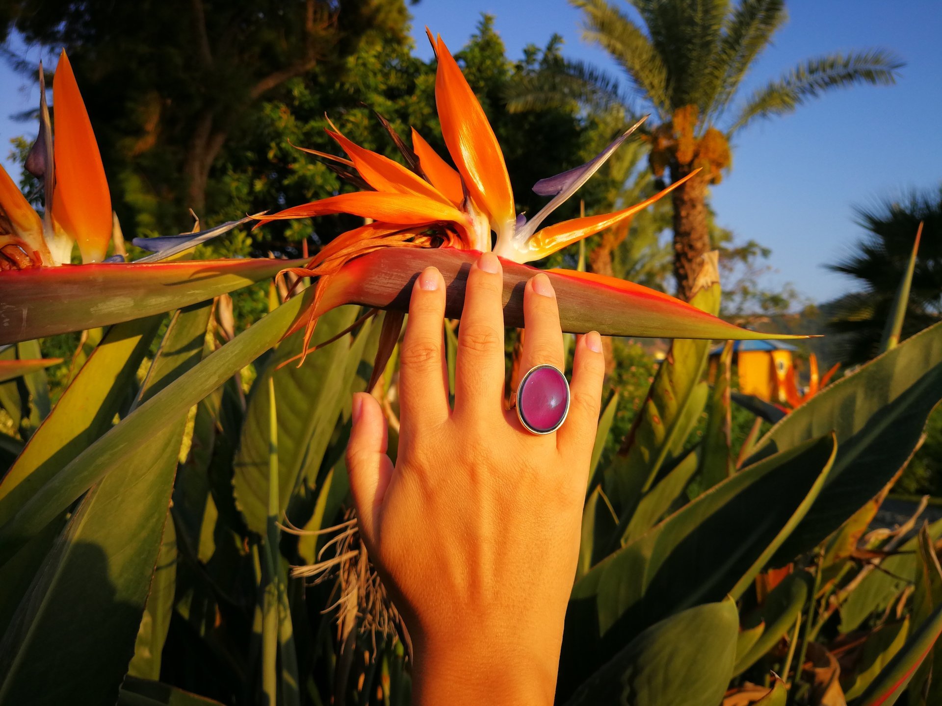 Silver Ring of Wishes - Mood Ring - 25x18 mm - Sterling Silver 925