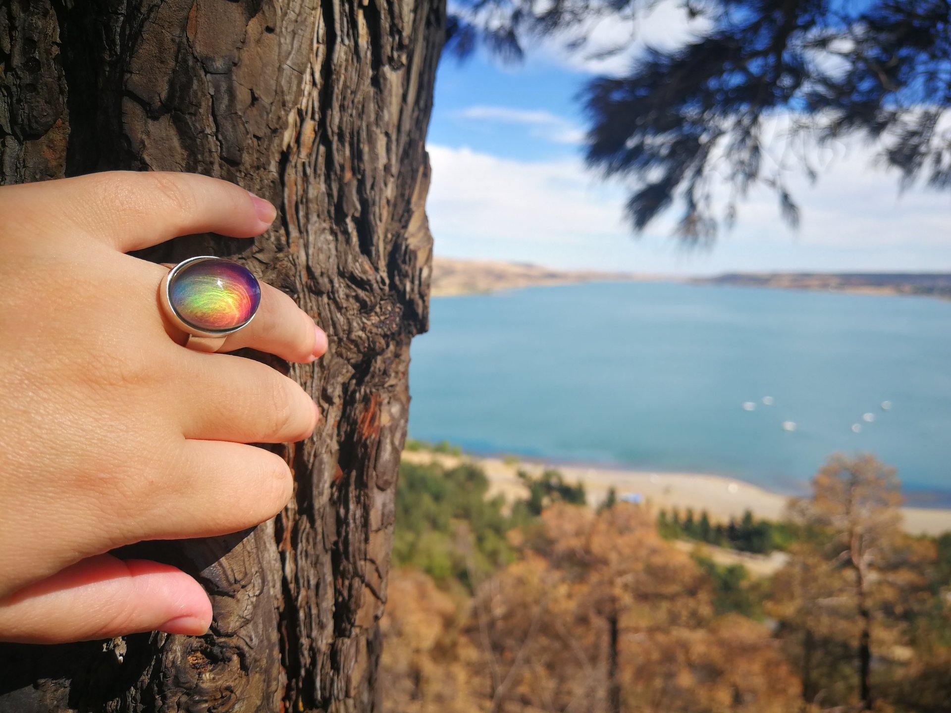 Queen of Heavenly Delight - Mood Ring - 20x15 mm - Sterling Silver 925 (pure or gold plated) - AAA Crystal Quartz