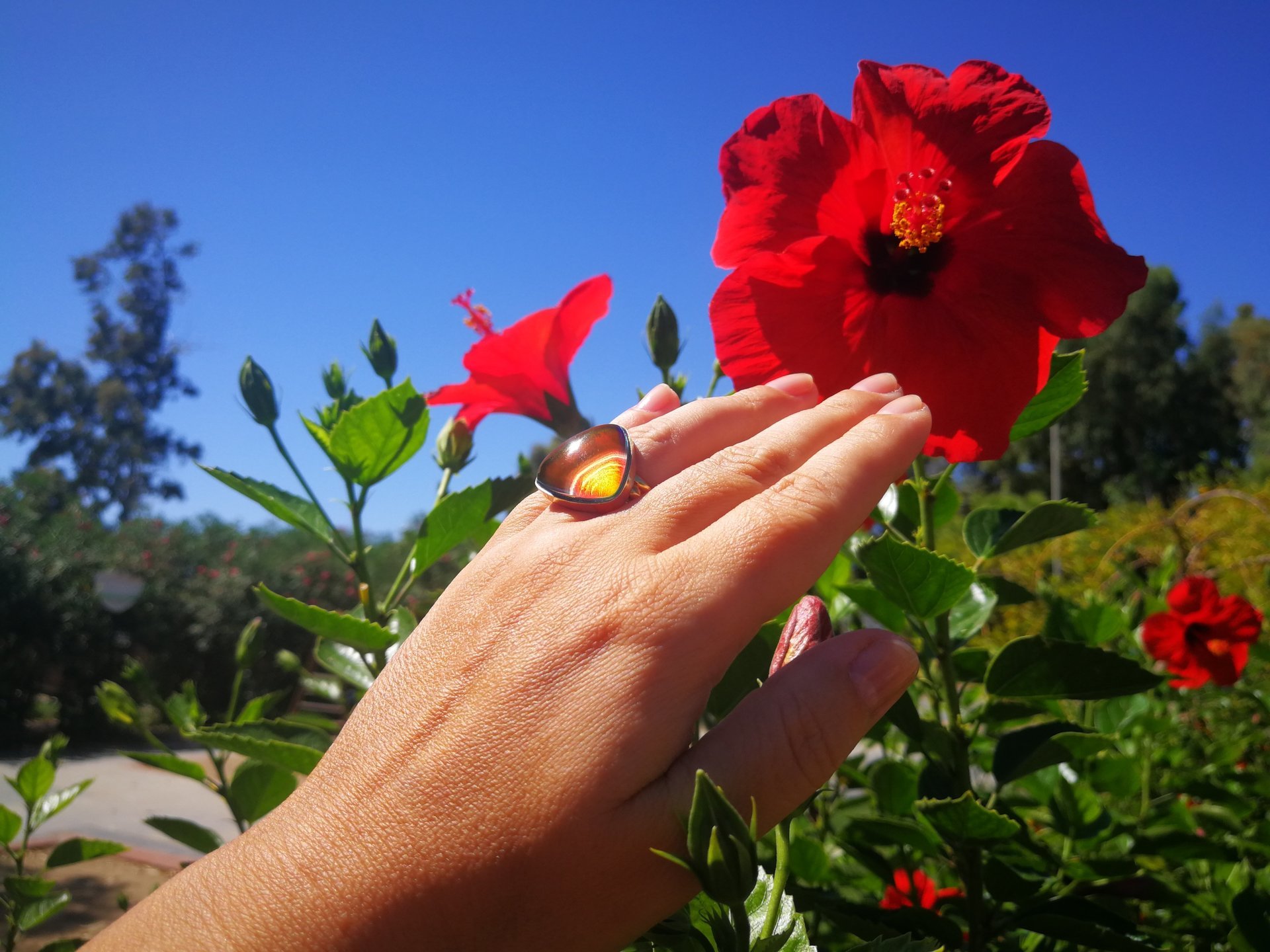 Sovereign of Lightning - Mood Ring - 20 mm - Gold Plated Sterling Silver 925 - AAA Crystal Quartz