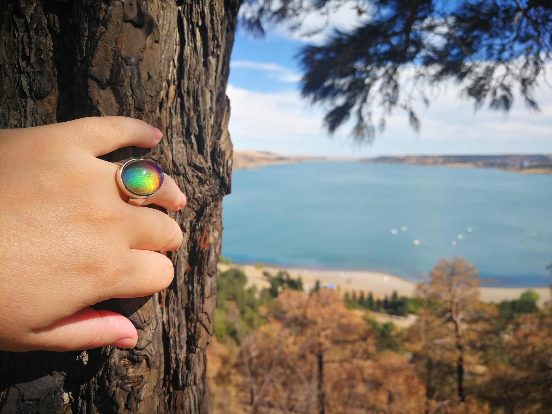 Queen of Heavenly Delight - Mood Ring - 20x15 mm - Sterling Silver 925 (pure or gold plated) - AAA Crystal Quartz