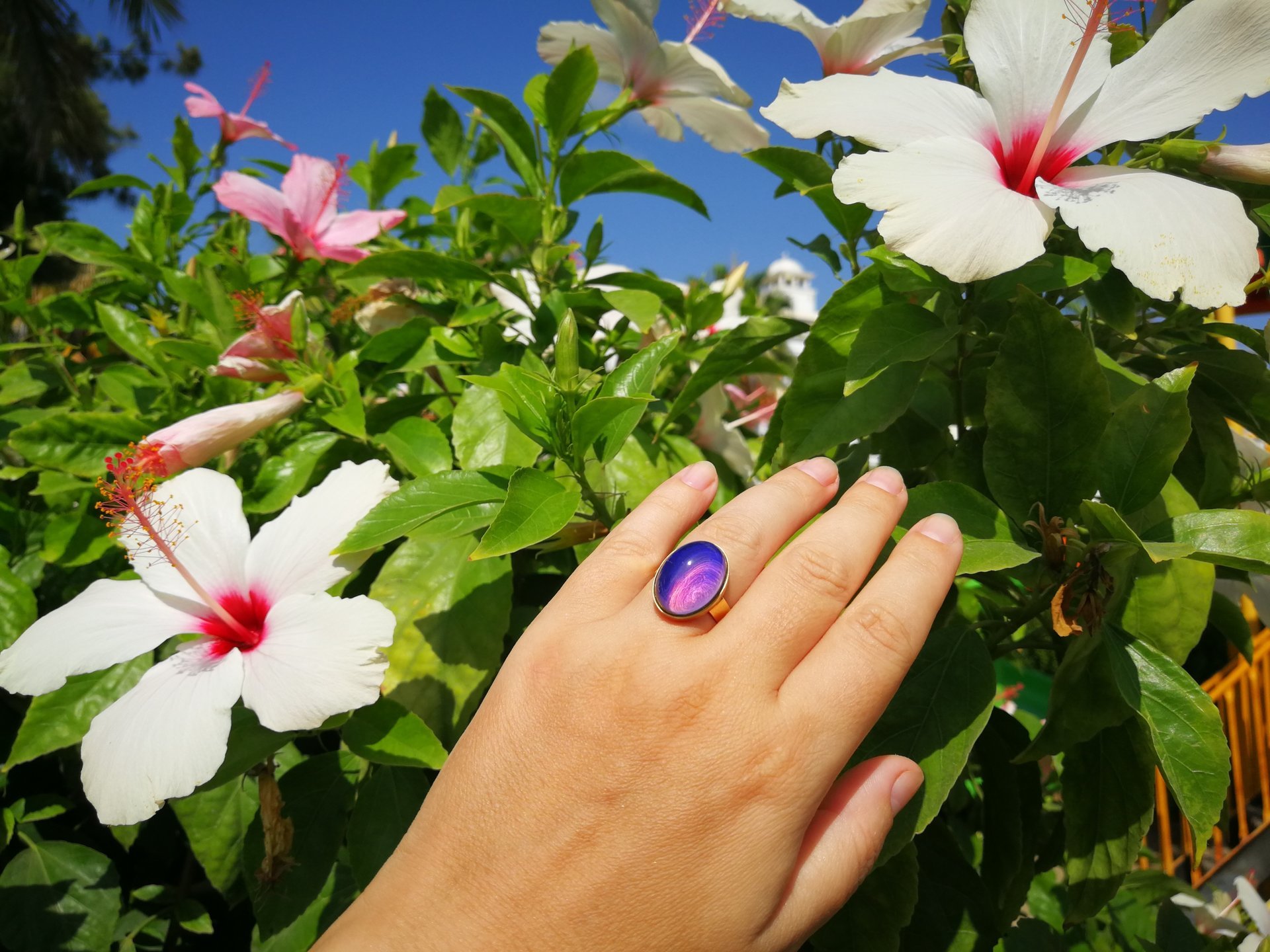 Crystal Star of Atlantis - Mood Ring - 18x13 mm - Gold Plated Sterling Silver 925 - AAA Crystal Quartz