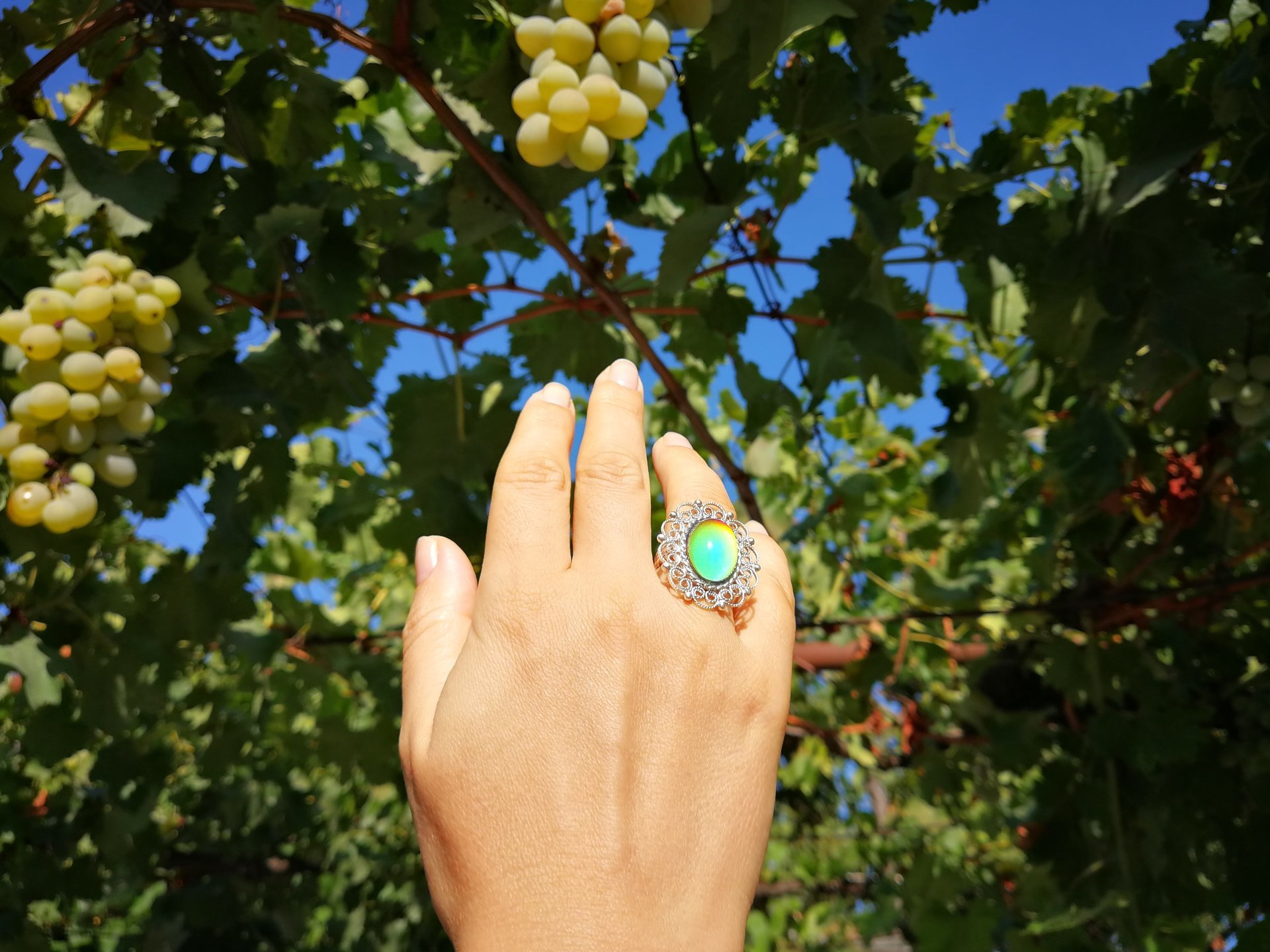 Empress of Grace - Mood Ring - 18x13 mm - Sterling Silver 925