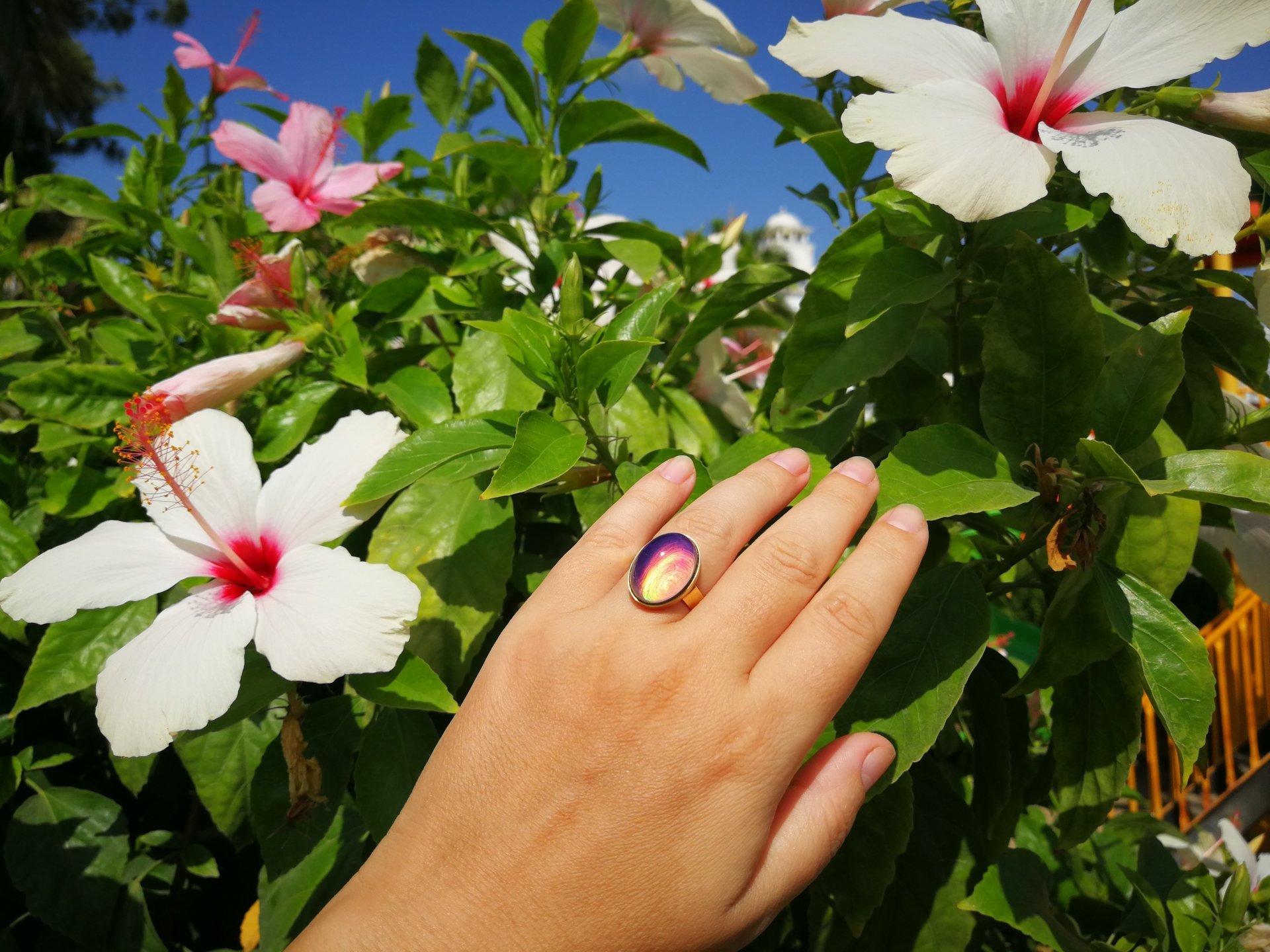 Crystal Star of Atlantis - Mood Ring - 18x13 mm - Gold Plated Sterling Silver 925 - AAA Crystal Quartz