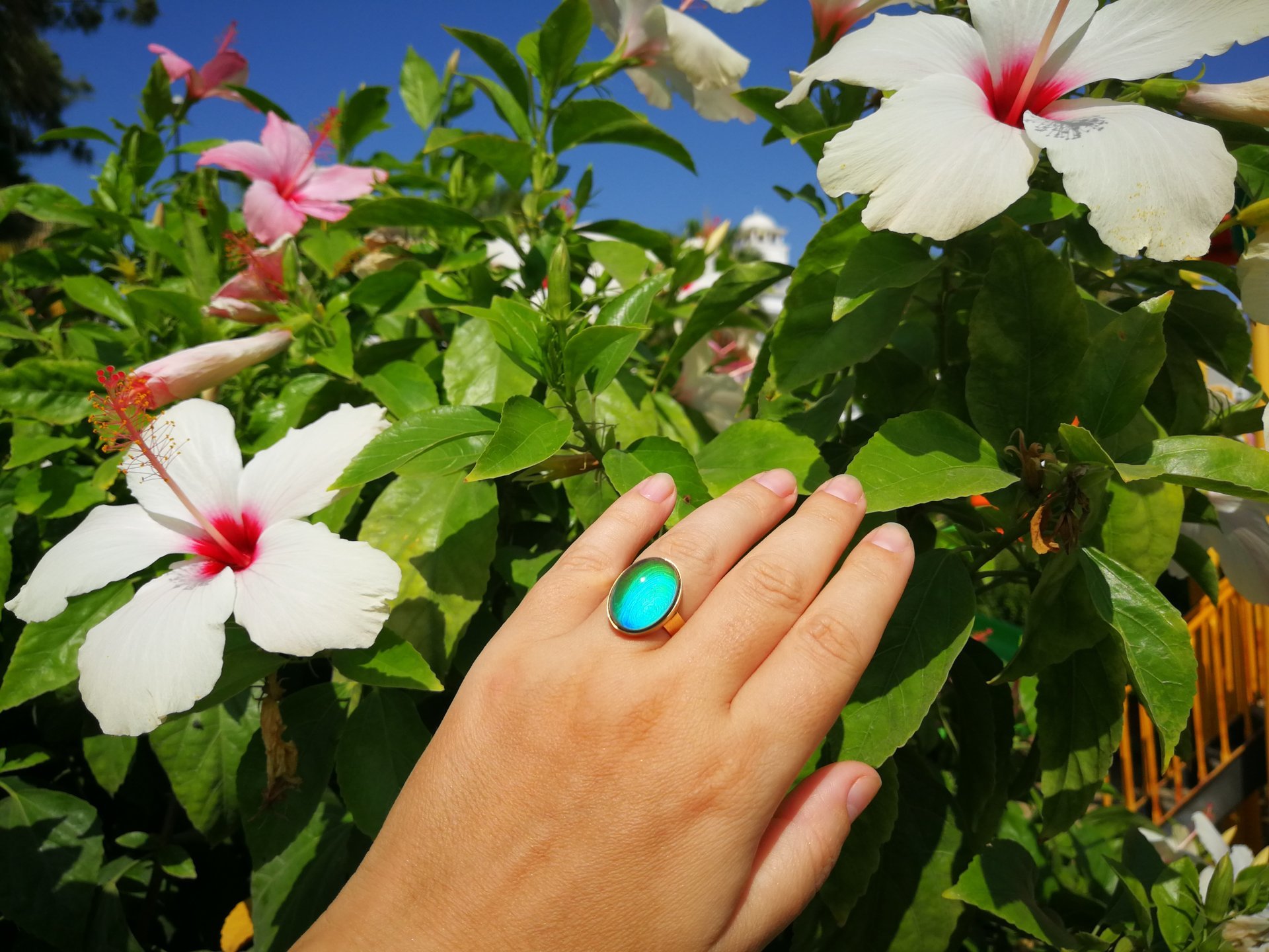 Crystal Star of Atlantis - Mood Ring - 18x13 mm - Gold Plated Sterling Silver 925 - AAA Crystal Quartz