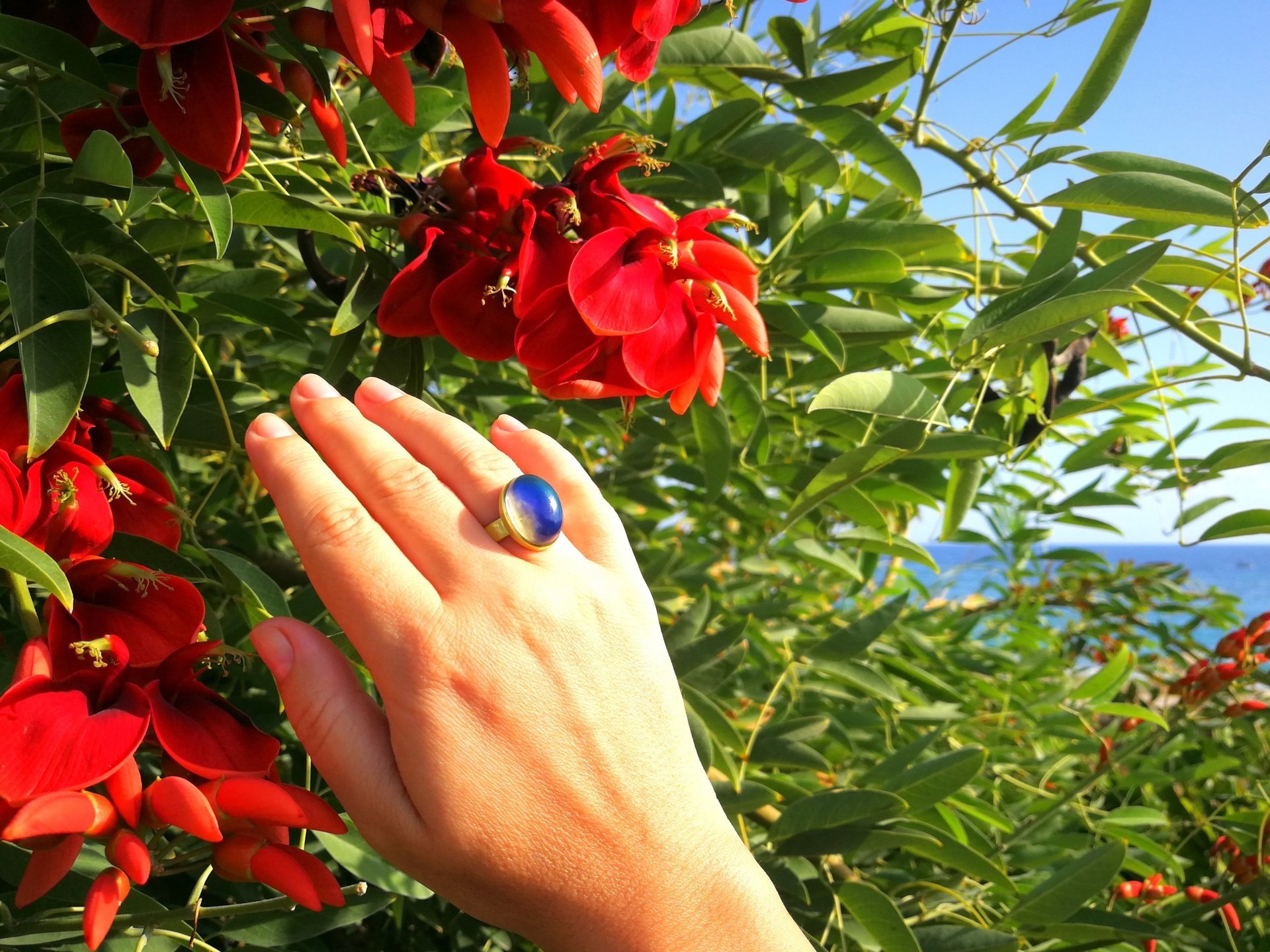 Crystal Star of Atlantis - Mood Ring - 18x13 mm - Gold Plated Sterling Silver 925 - AAA Crystal Quartz