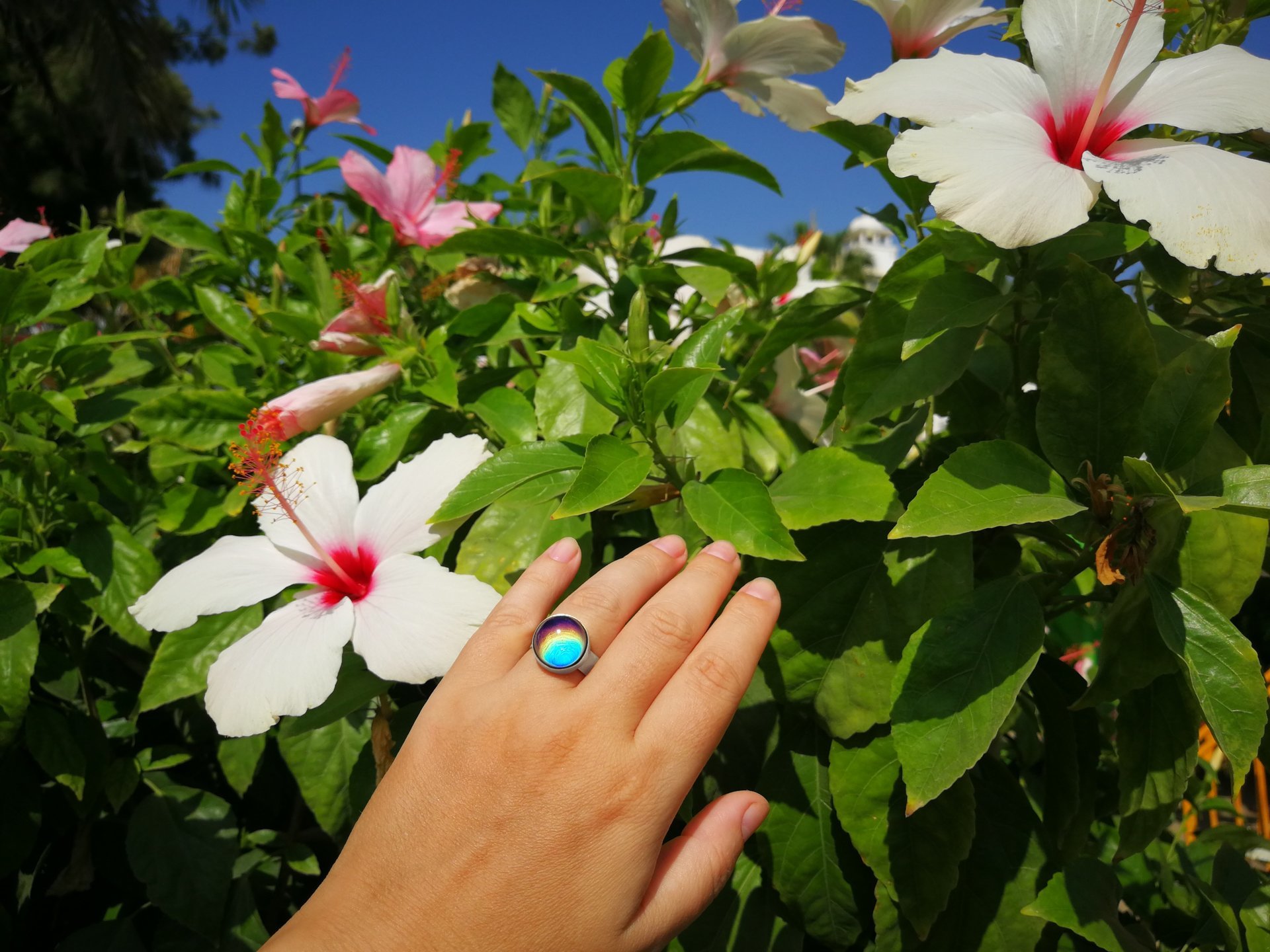 Sun of Antares - Mood Ring - 14 mm - Sterling Silver 925 - AAA Crystal Quartz
