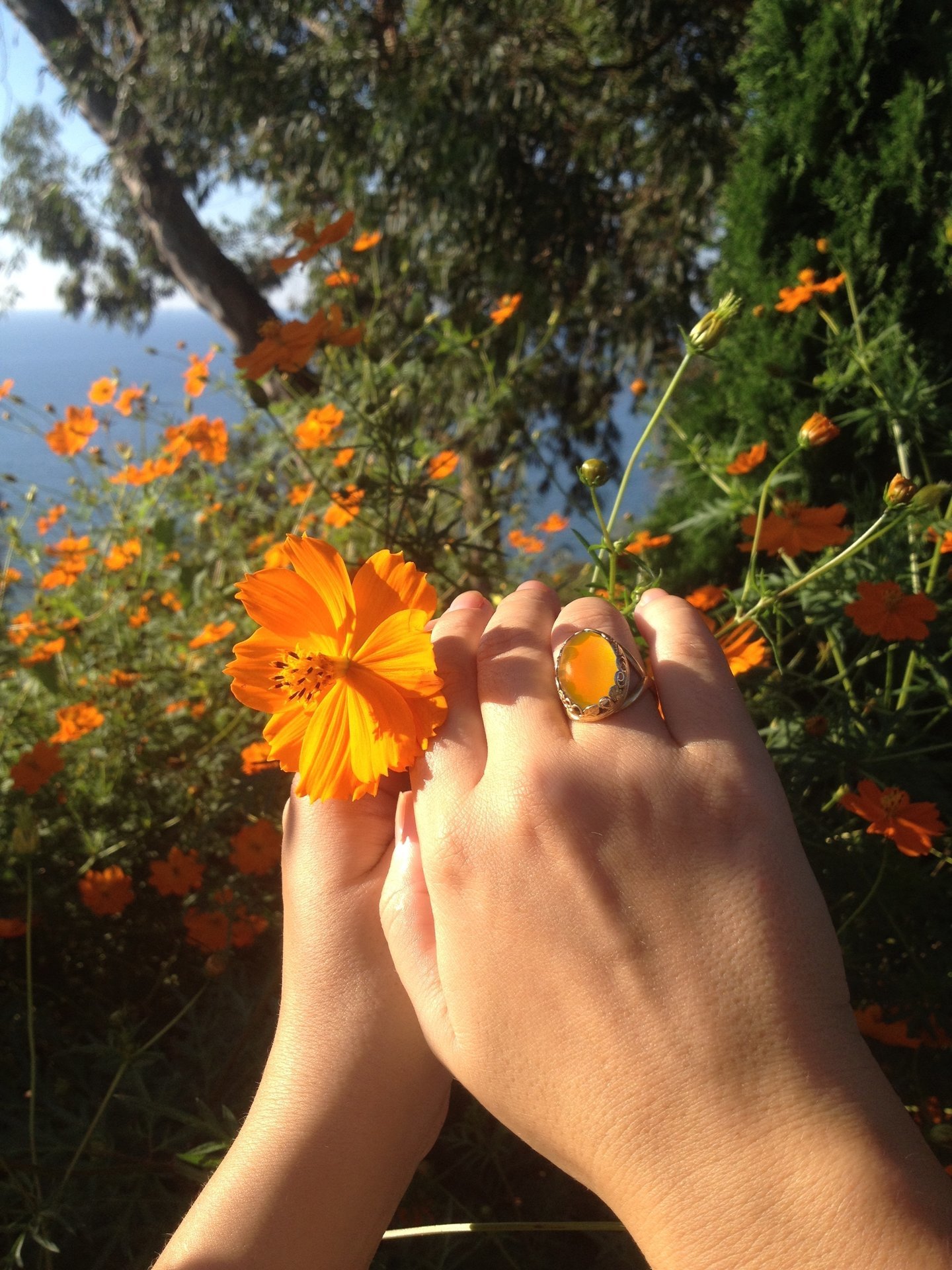 Golden Blossoms of Magic - Mood Ring - 18x13 mm - 24K Gold Plated Sterling Silver 925