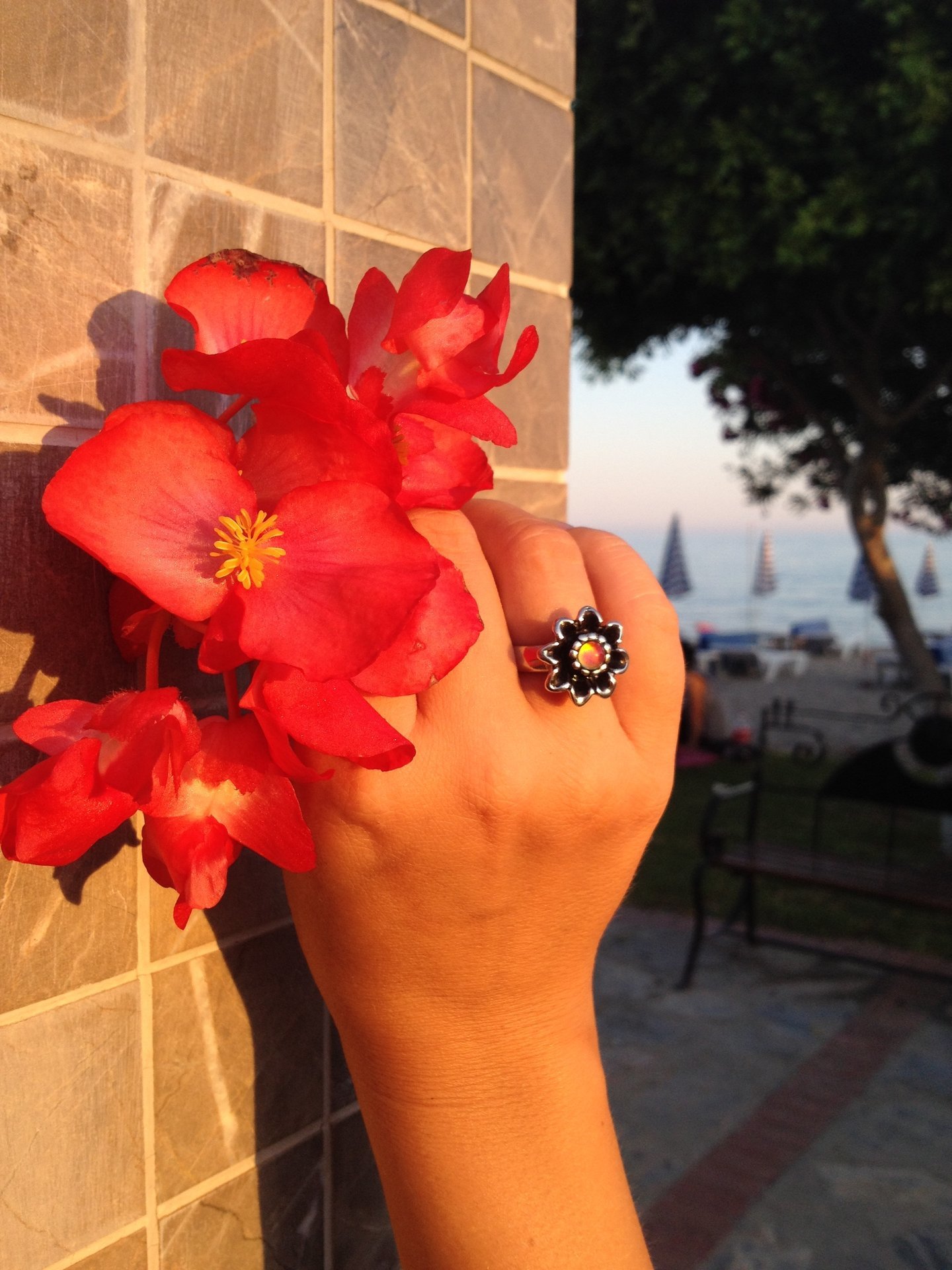 Princess of Rock - Mood Ring - 5 mm - Stainless Steel