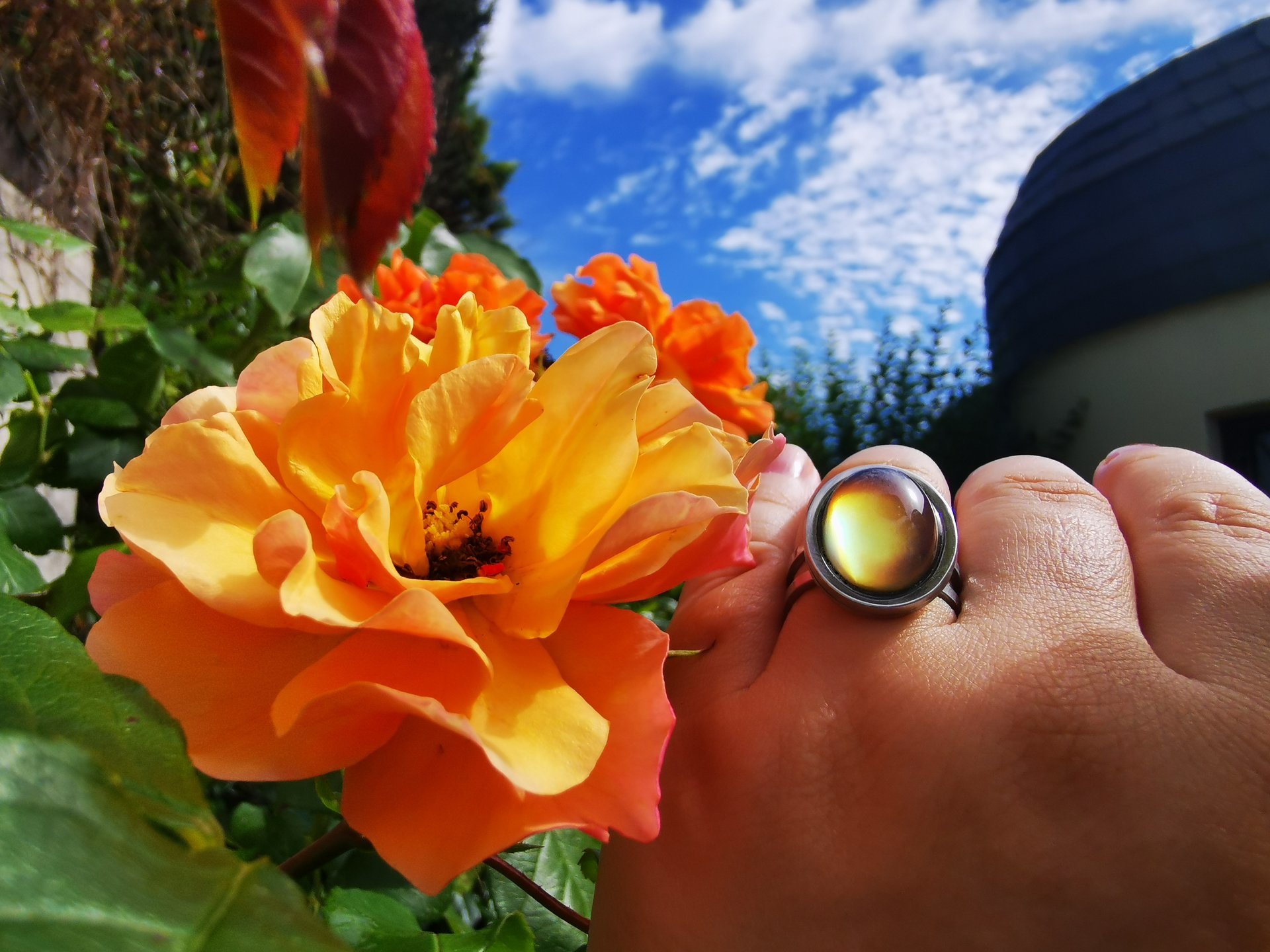 Royal Mood - Mood Ring - Adjustable - 18x13 mm - Stainless Steel