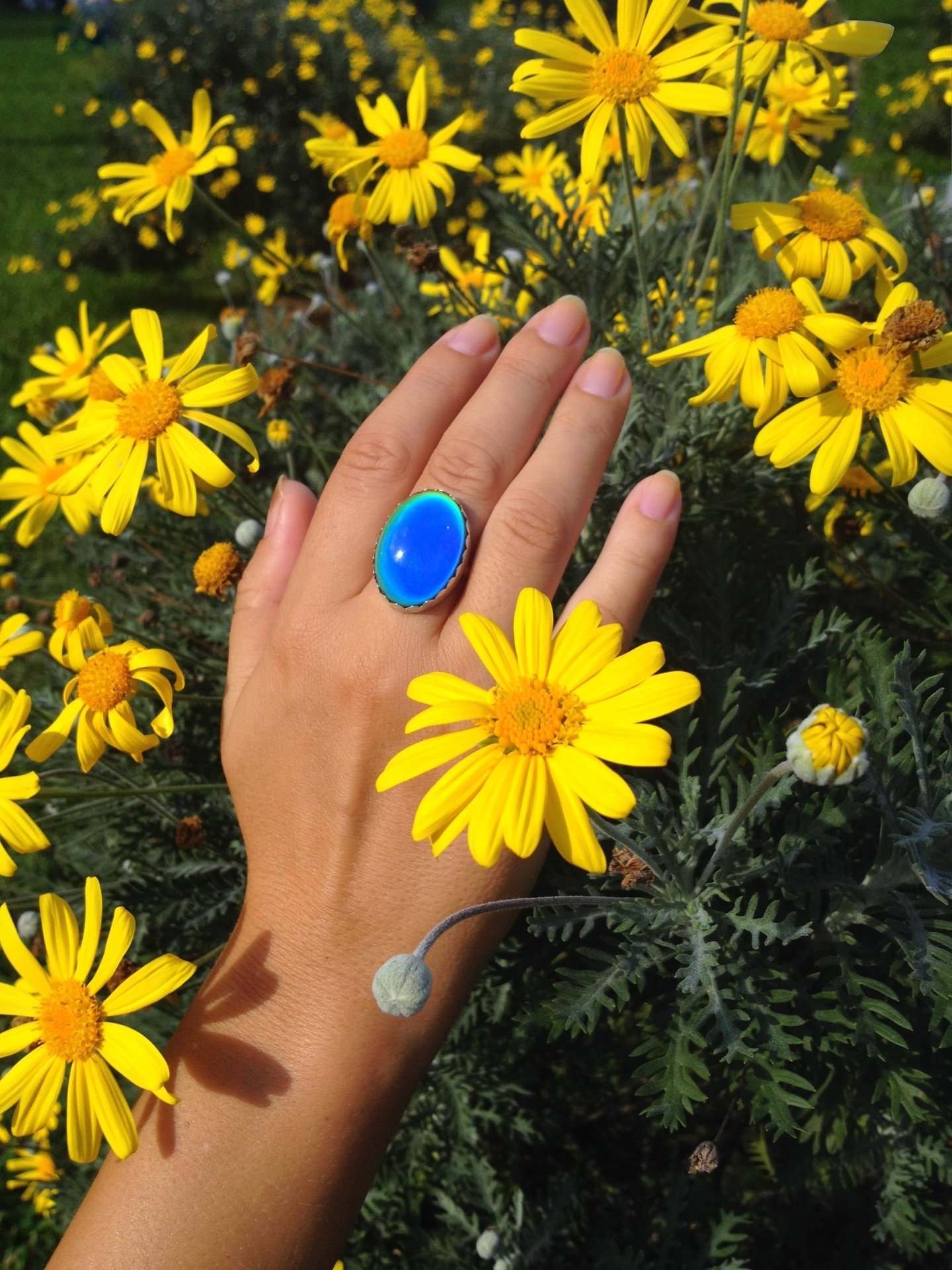 Queen of Colors - Mood Ring - 25x18 mm - Sterling Silver 925