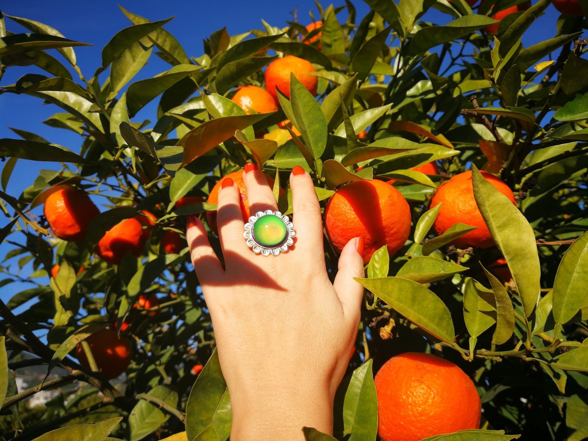 Silver Sunrise of Beauty - Mood Ring - 20 mm - Sterling Silver 925