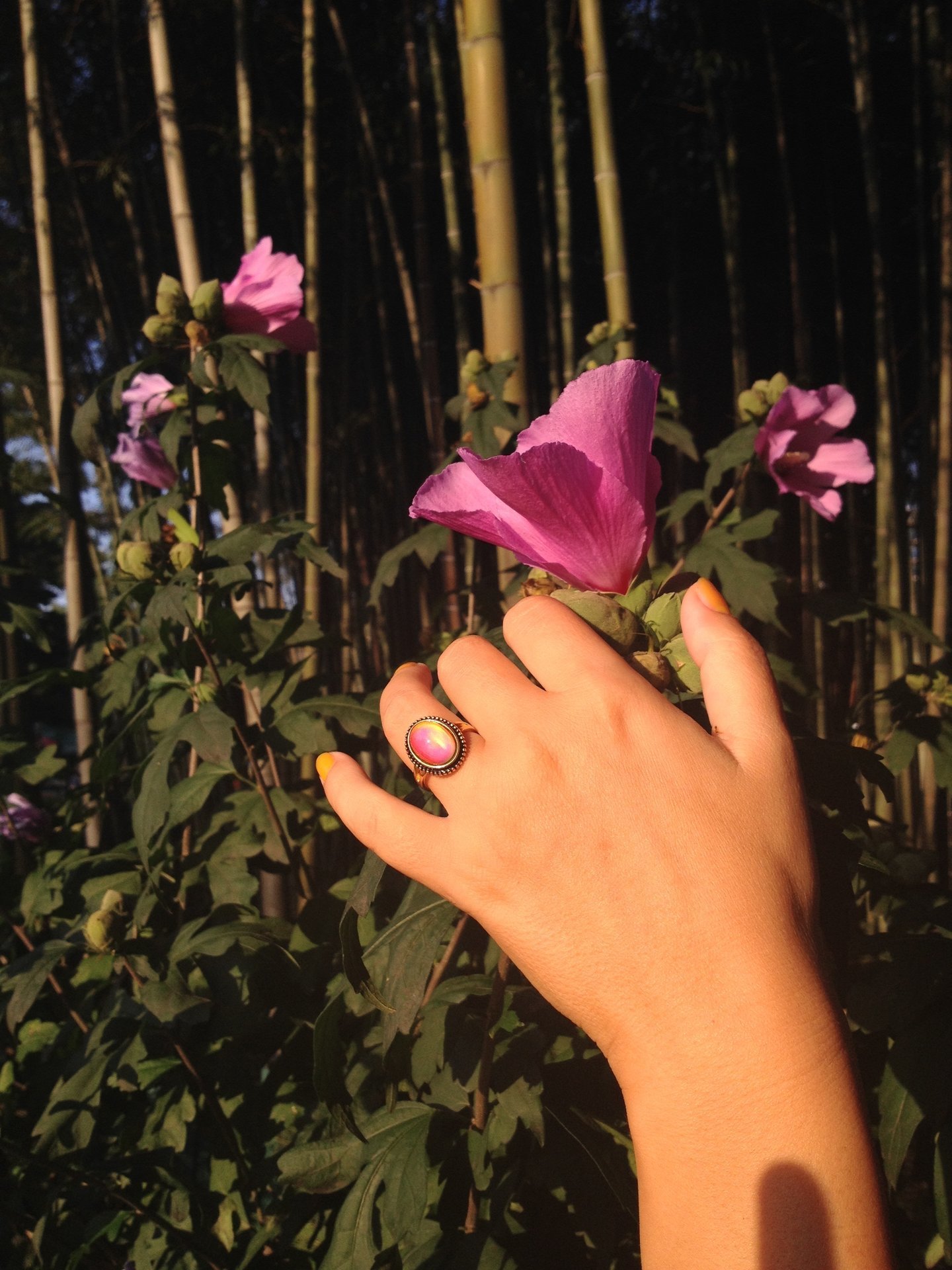 First Princess of the Empire - Mood Ring - 14x10 mm - 24K Gold Plated Sterling Silver 925
