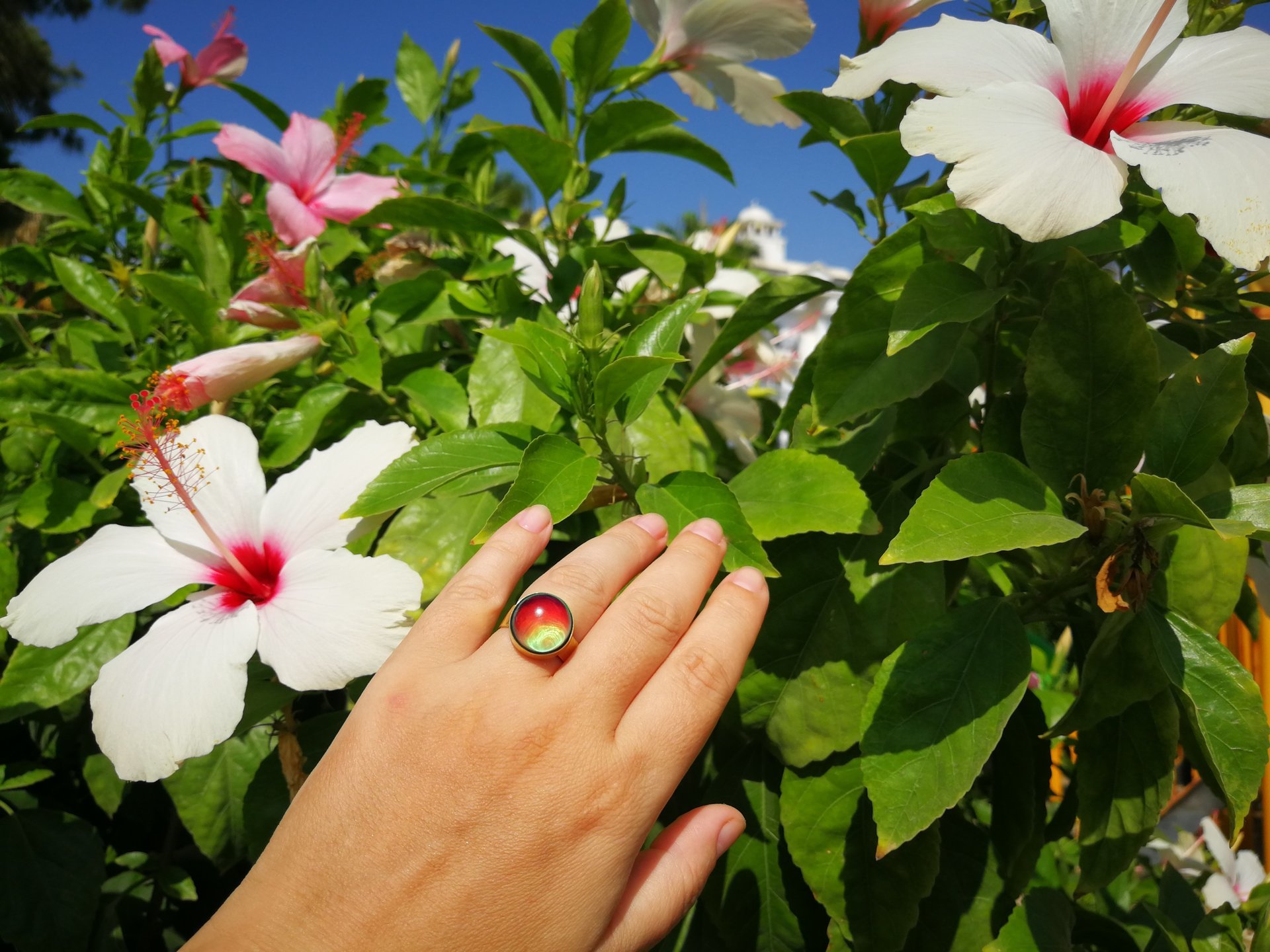 Sun of Antares - Mood Ring - 14 mm - Gold Plated Sterling Silver 925 - AAA Crystal Quartz