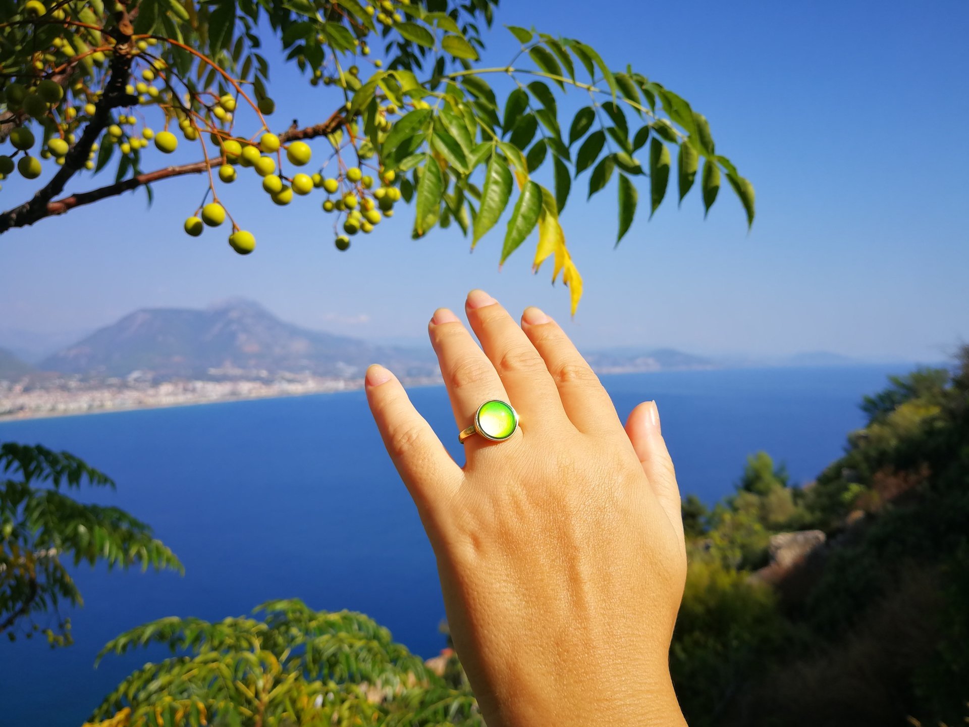 Golden Star of Romance - Mood Ring - 12 mm - 24K Gold Plated Sterling Silver 925