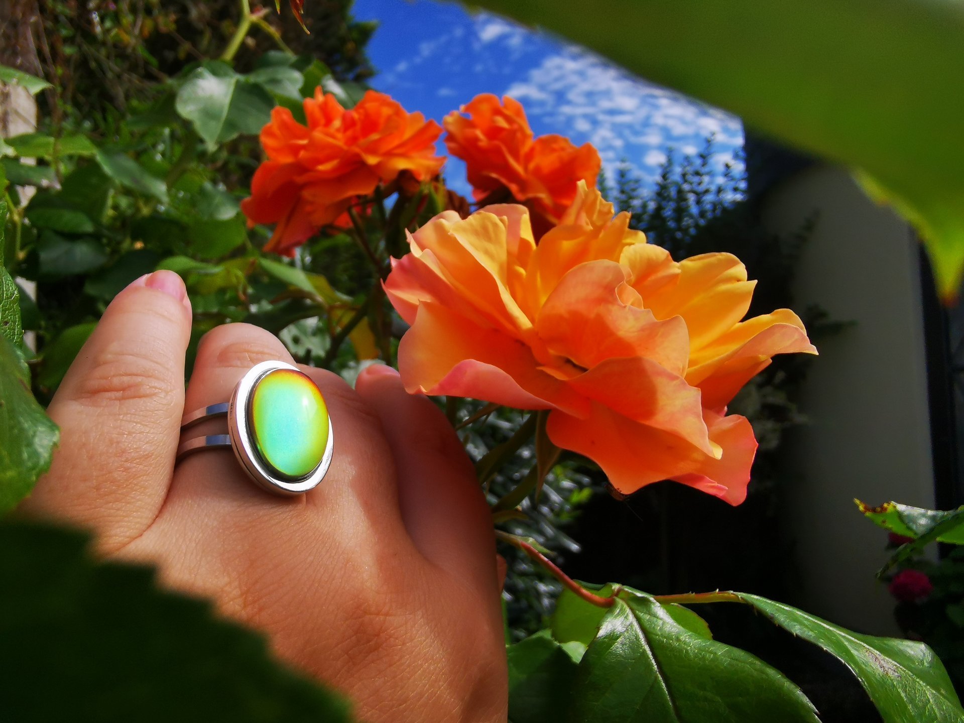 Royal Mood - Mood Ring - Adjustable - 18x13 mm - Stainless Steel