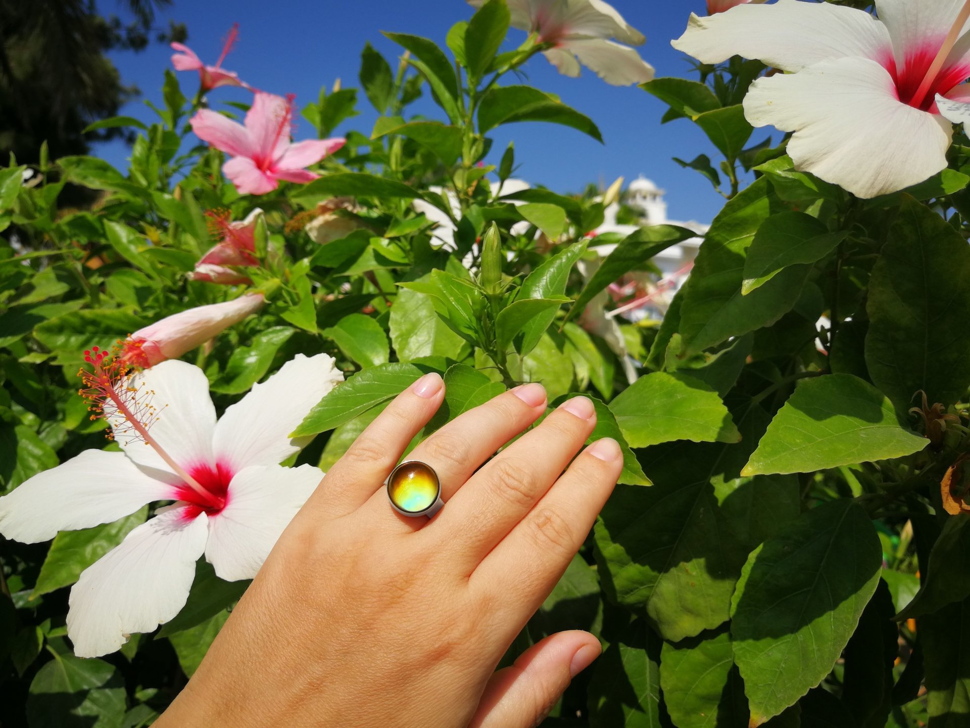 Sun of Antares - Mood Ring - 14 mm - Sterling Silver 925 - AAA Crystal Quartz