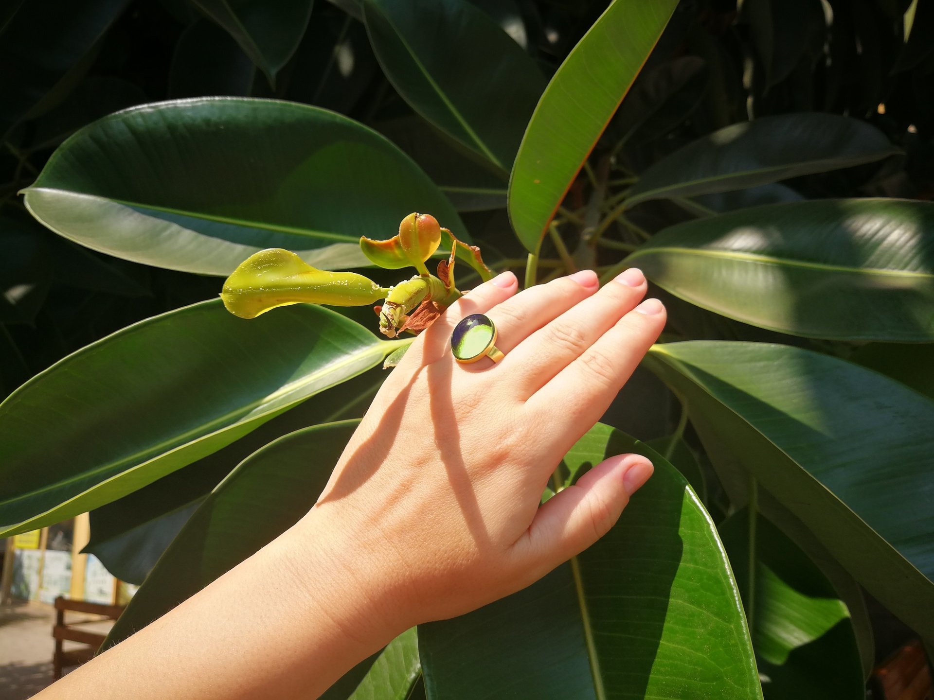 Crystal Star of Atlantis - Mood Ring - 18x13 mm - Gold Plated Sterling Silver 925 - AAA Crystal Quartz