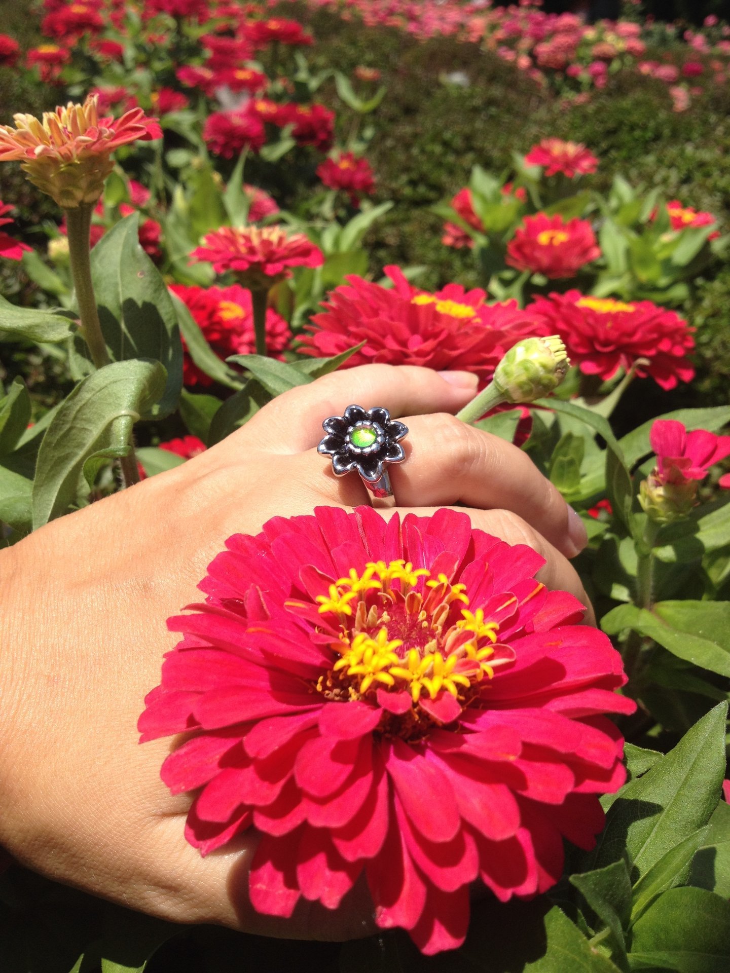 Princess of Rock - Mood Ring - 5 mm - Stainless Steel