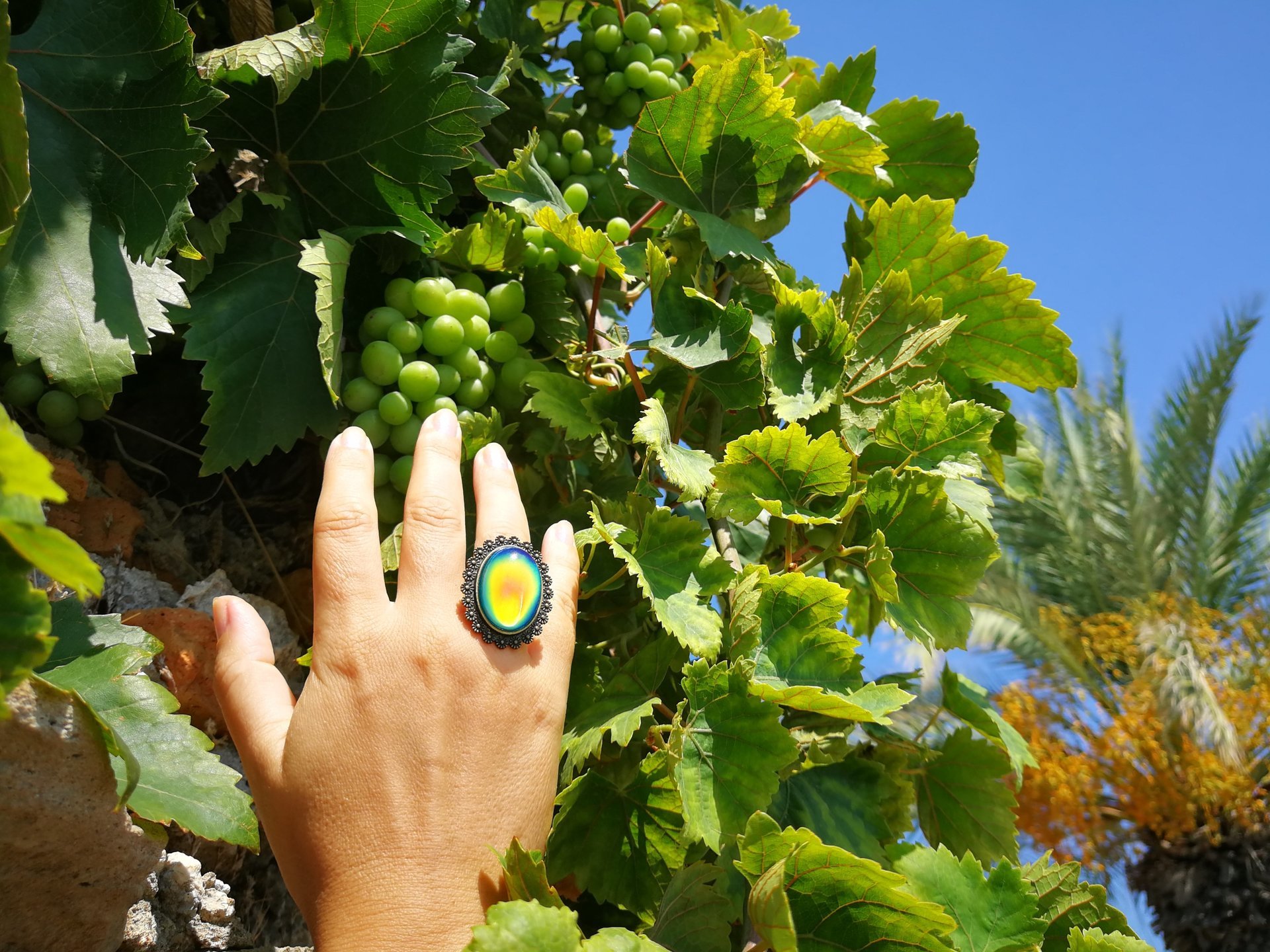 Queen of Zanzibar - Mood Ring - Adjustable - 25x18 mm - Brass