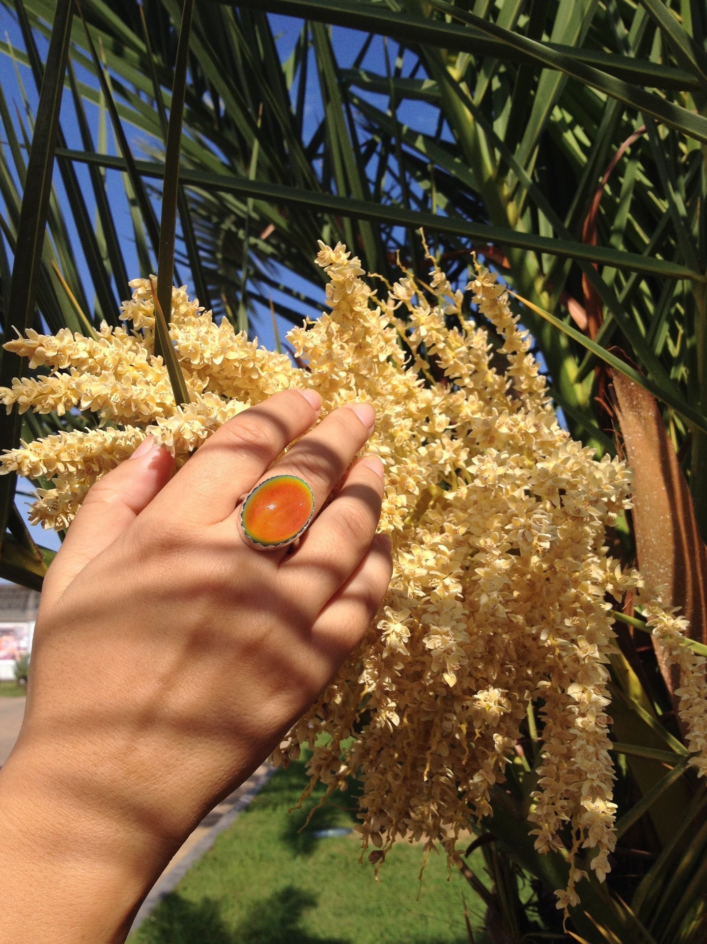 Queen of Colors - Mood Ring - 25x18 mm - Sterling Silver 925