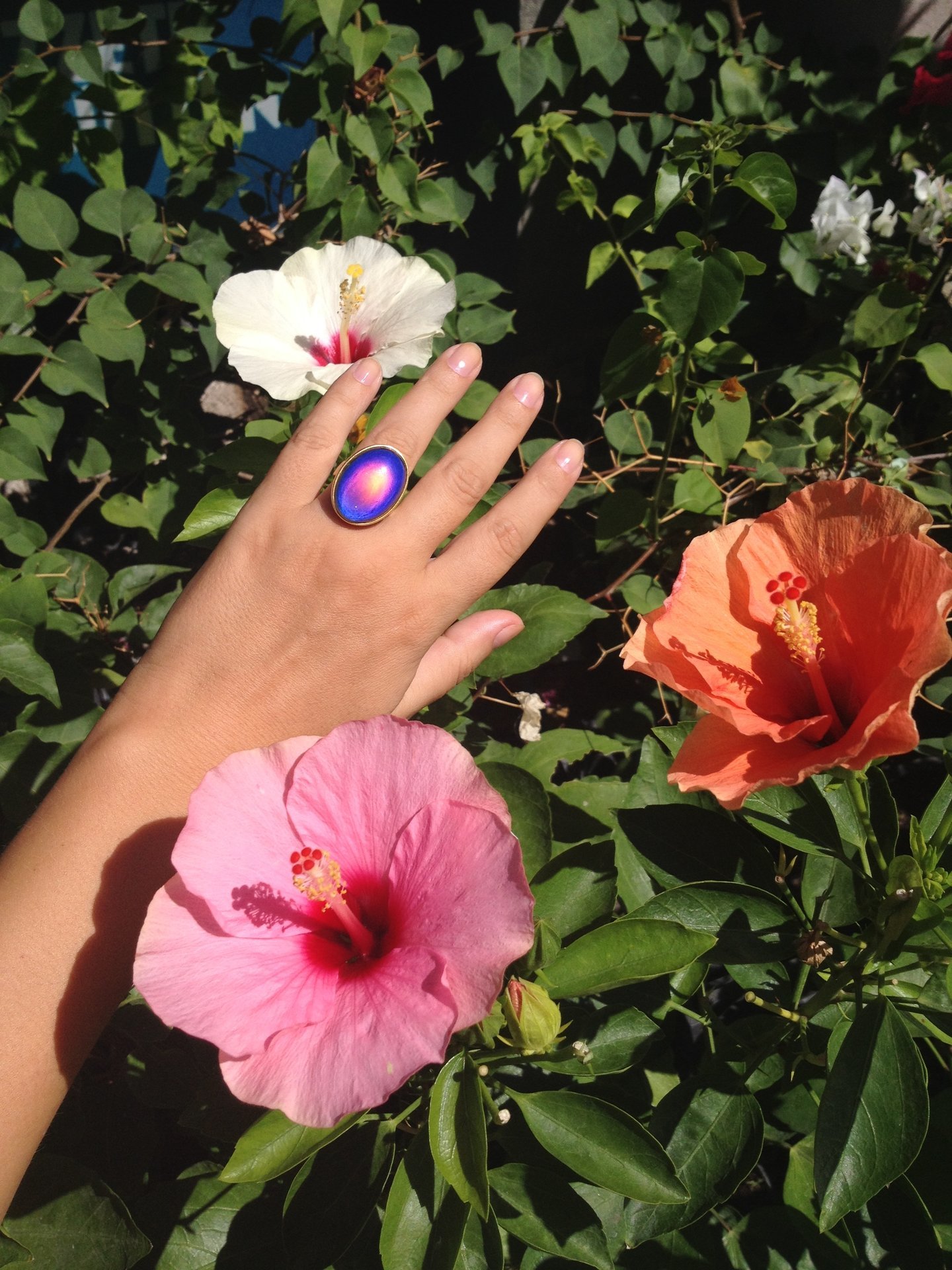 Golden Ring of Wishes - Mood Ring - 25x18 mm - 24k Gold Plated Sterling Silver 925