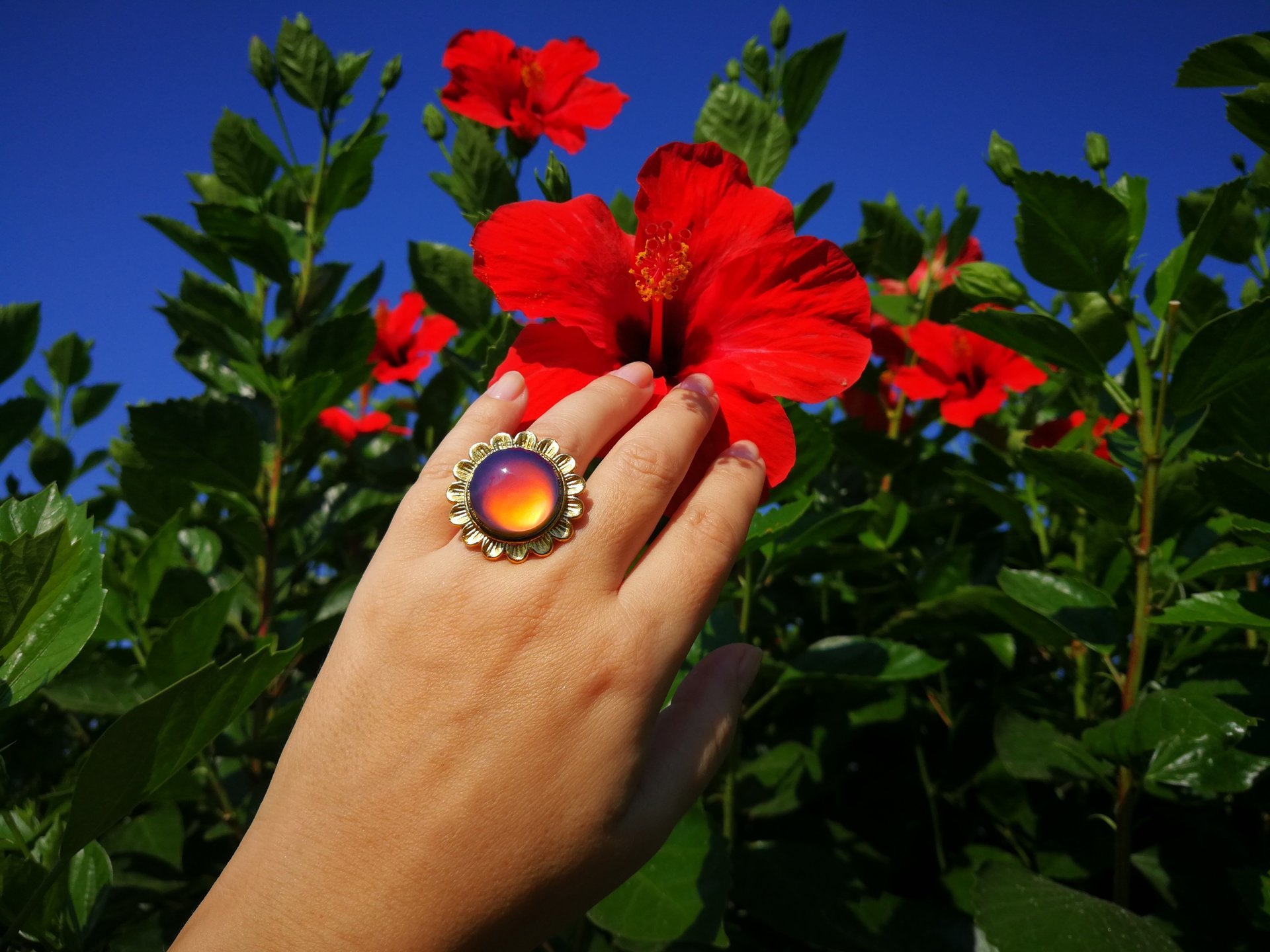 Golden Sunrise of Beauty - Mood Ring - 20 mm - 24K Gold Plated Sterling Silver 925