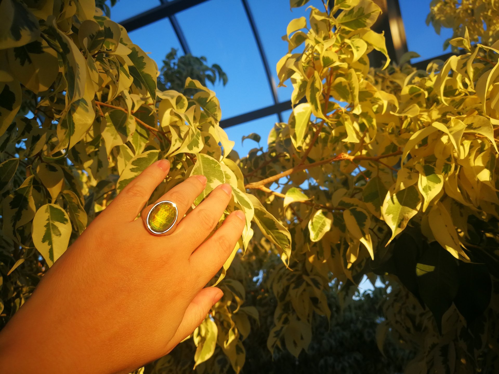 King of Gentlemen - Mood Ring - 18x13 mm - Stainless Steel - faceted AAA Crystal Quartz
