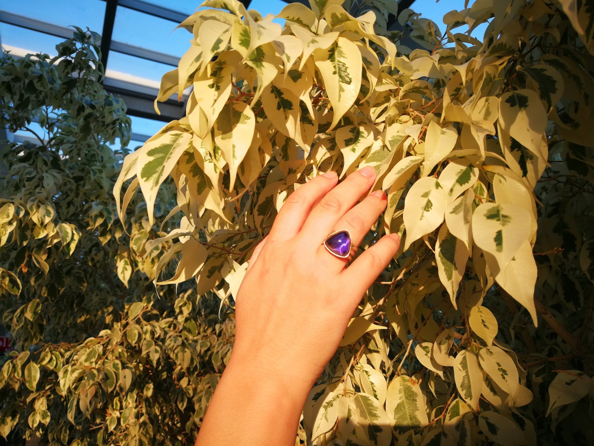 Lord of Lightning - Mood Ring - 15 mm - Gold Plated Sterling Silver 925 - AAA Crystal Quartz