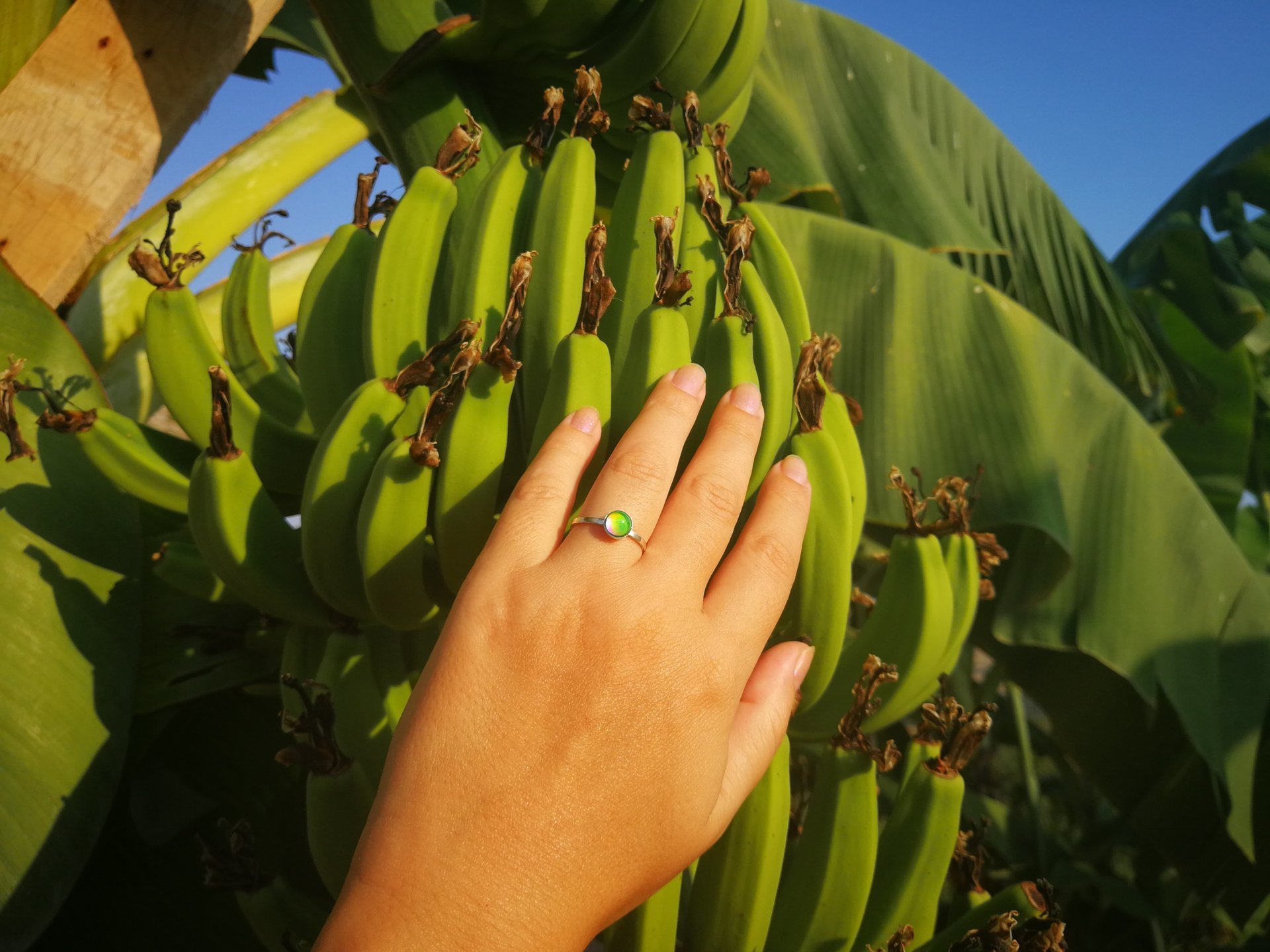 Princess of the Light - Mood Ring - 6 mm - Sterling Silver 925 - AAA Crystal Quartz